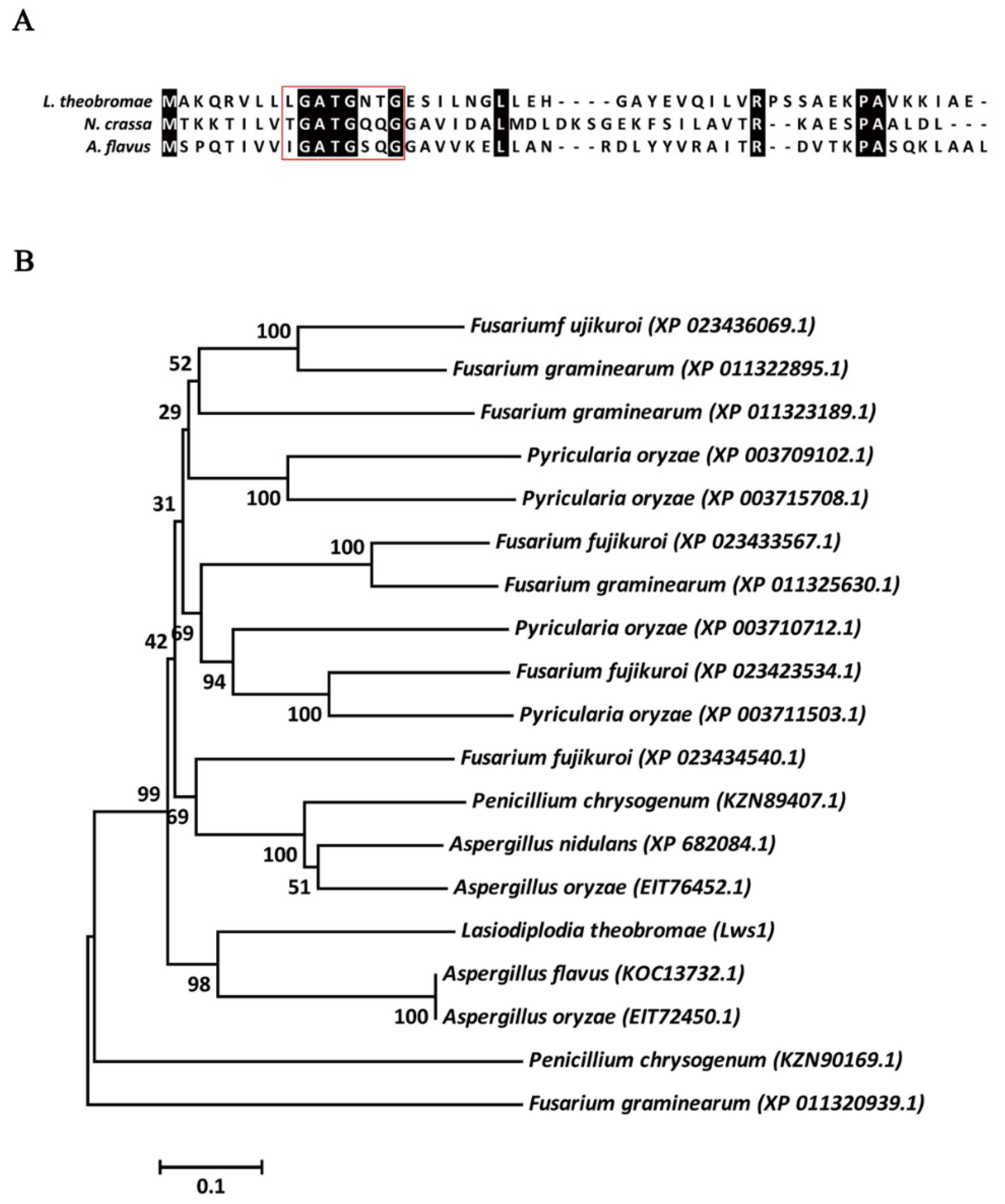 Plants 11 02197 g001 Plants 11 02197 g001