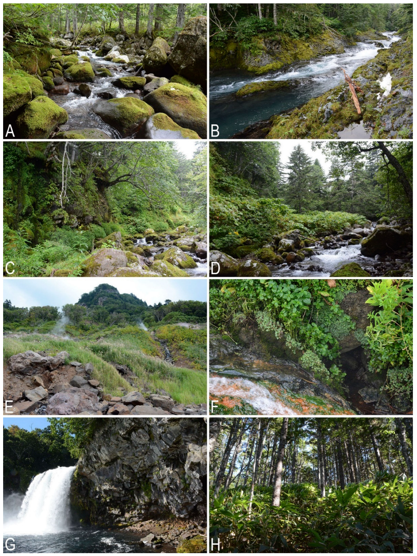 Plants 11 02200 g005