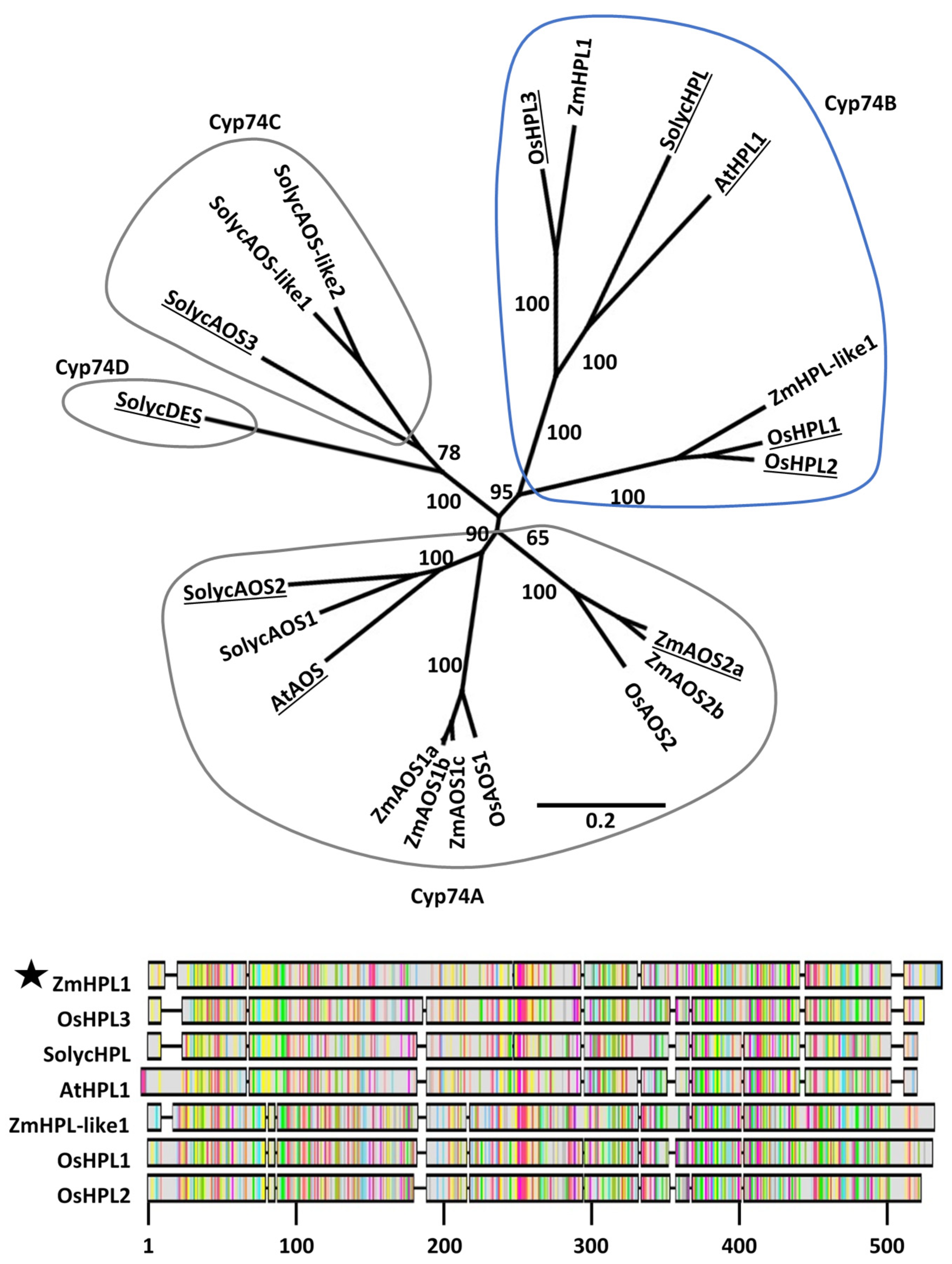 Plants 11 02201 g002