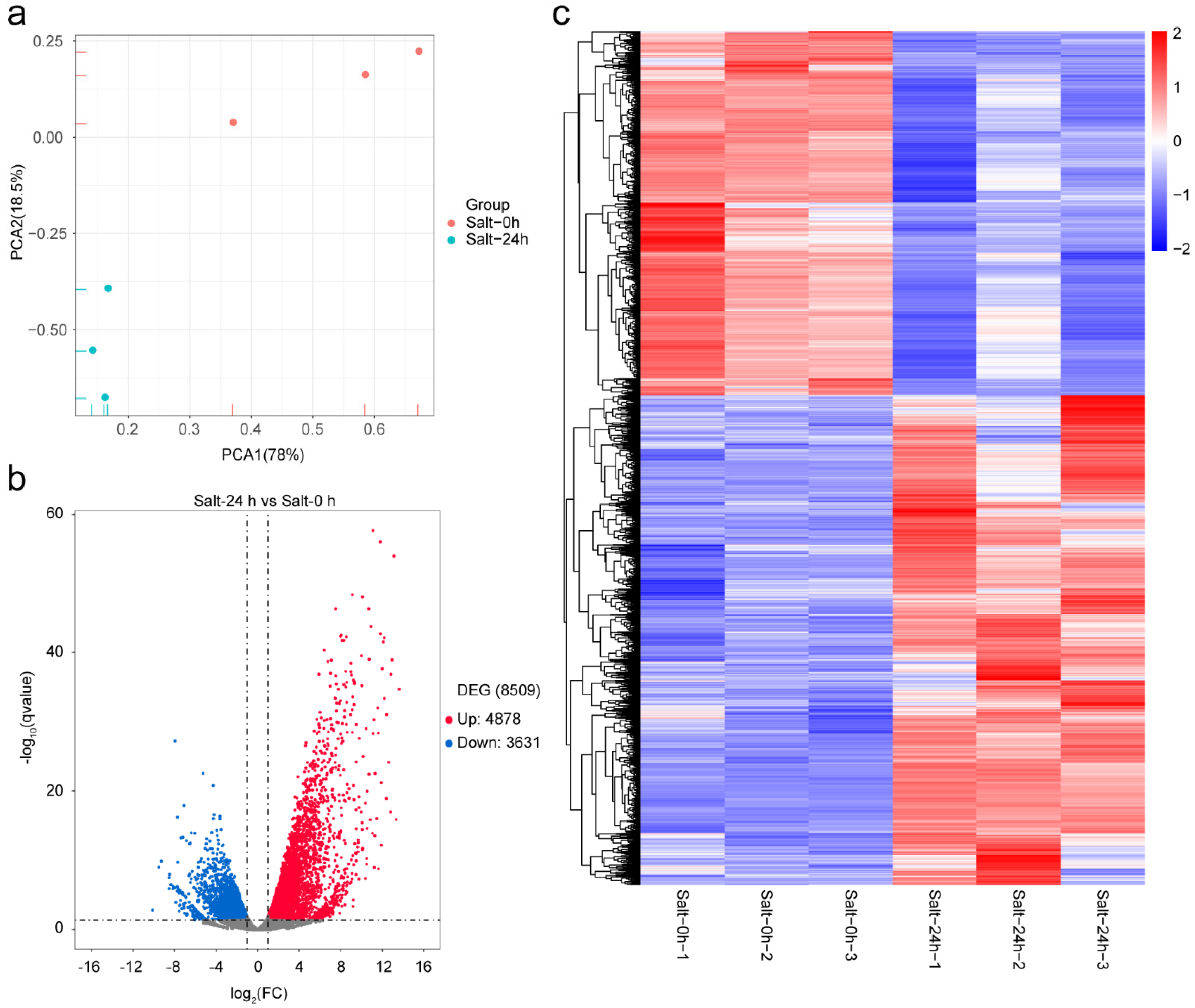 Plants 11 02205 g001