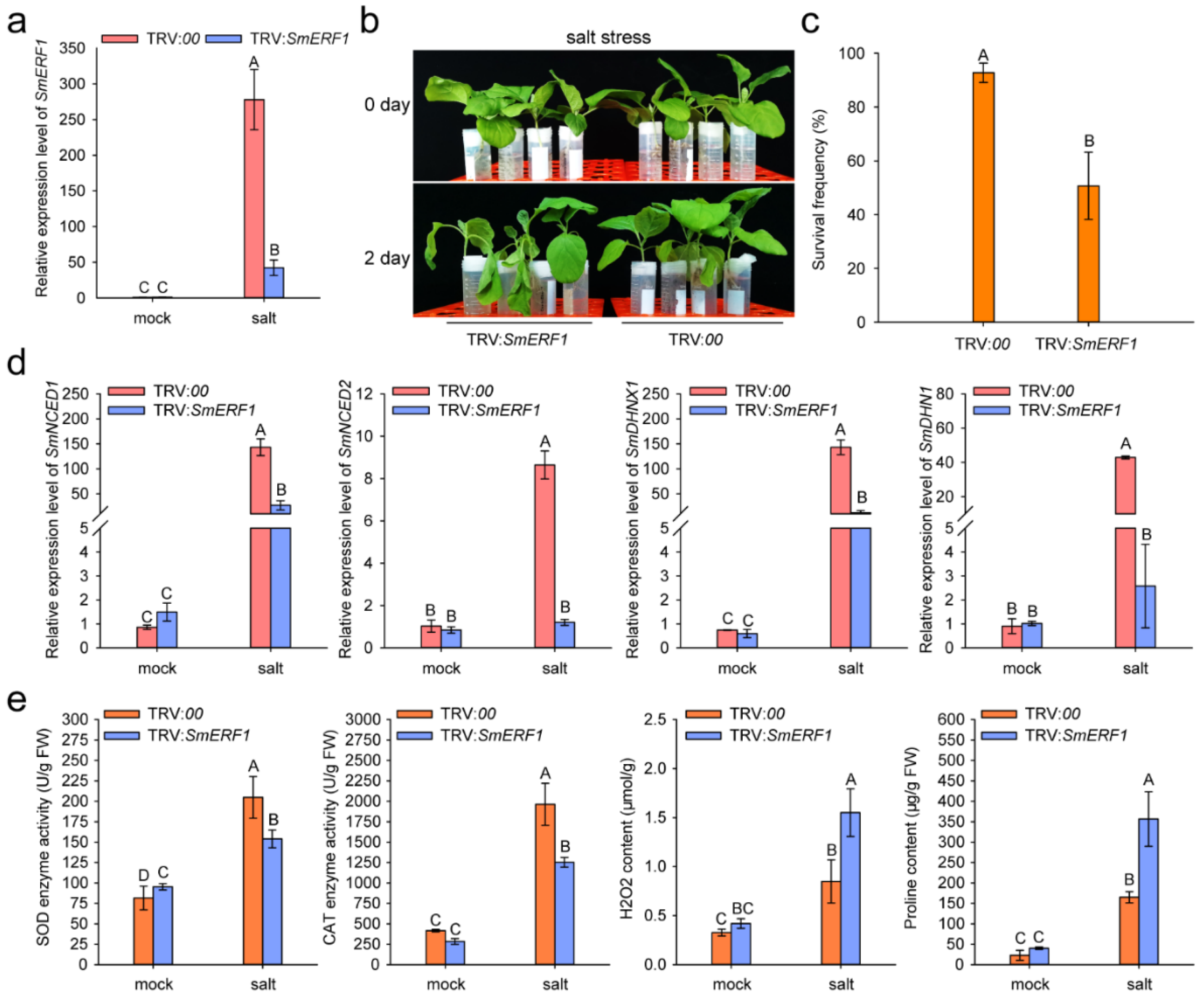 Plants 11 02205 g007