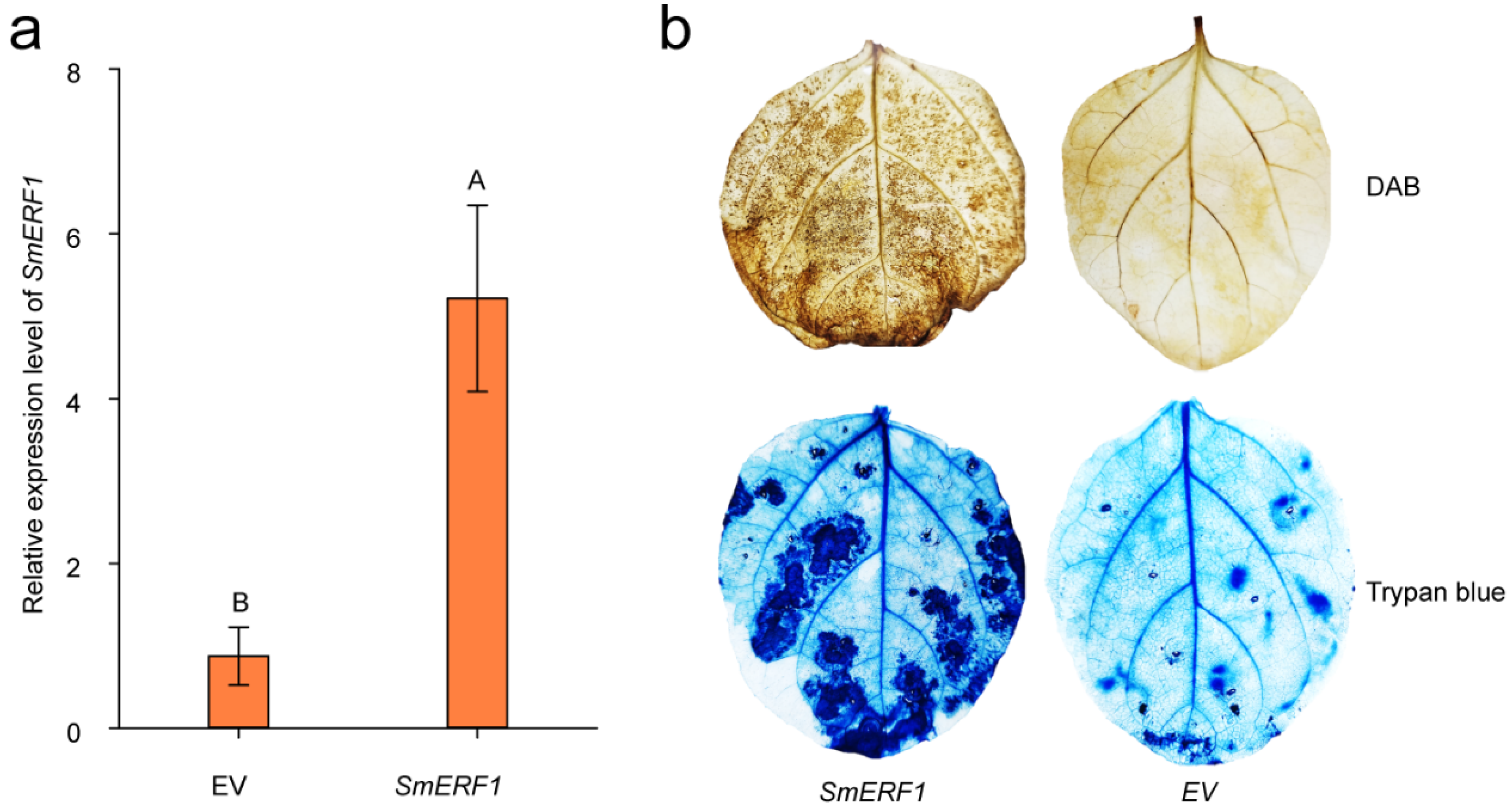 Plants 11 02205 g008