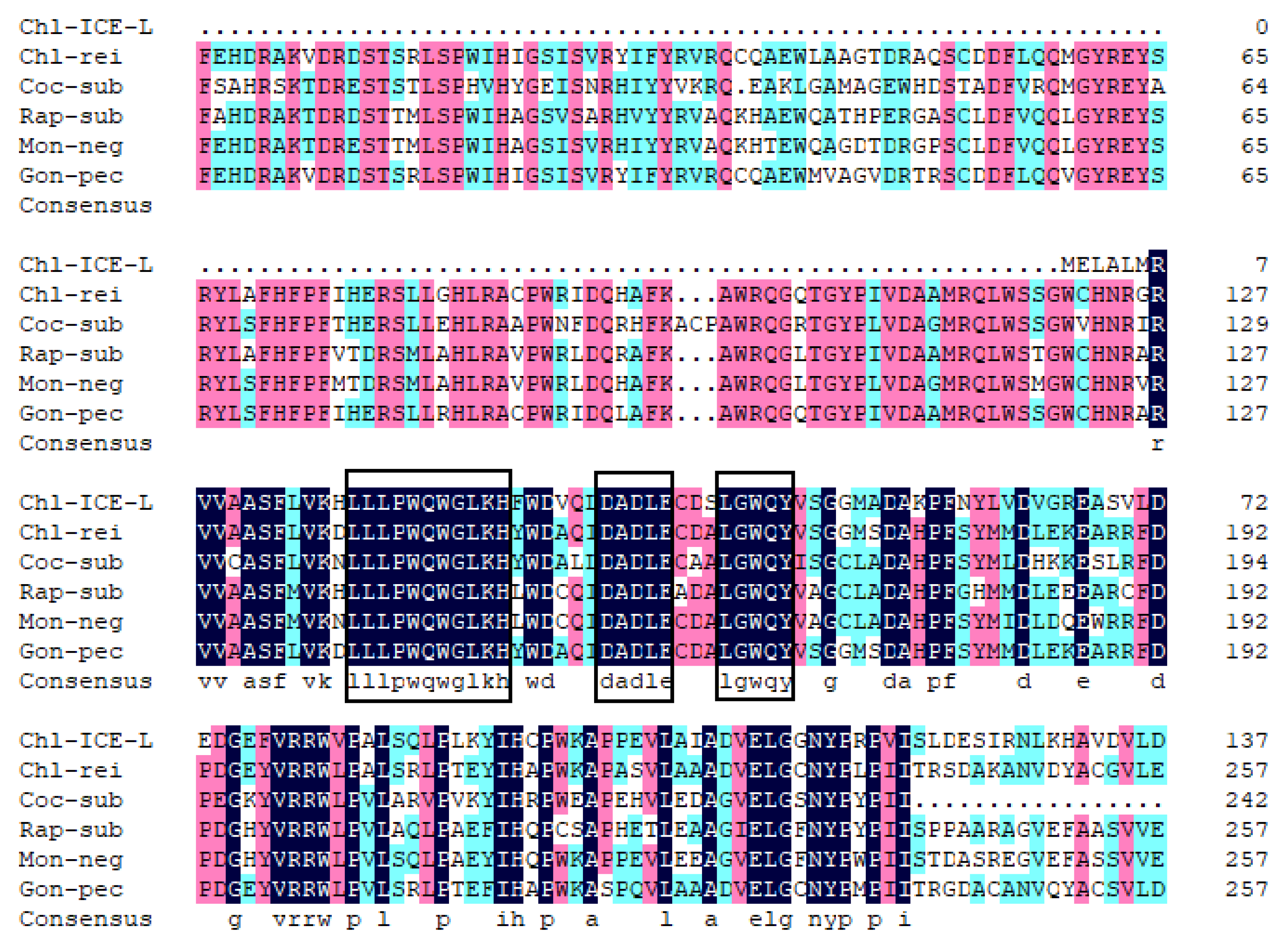 Plants 11 02213 g001 Plants 11 02213 g001