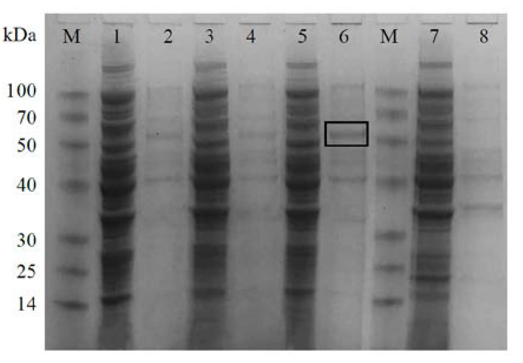 Plants 11 02213 g008 Plants 11 02213 g008