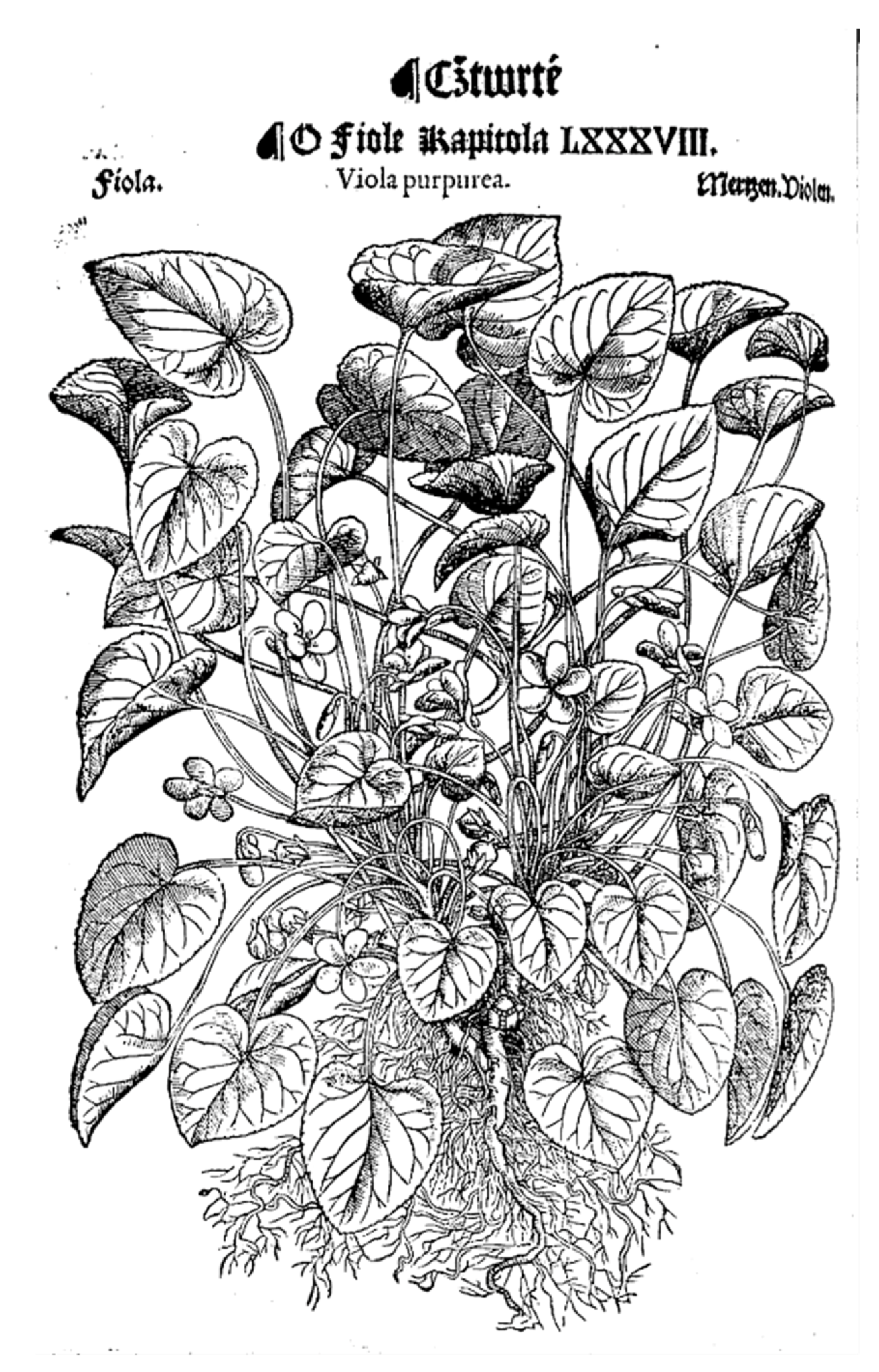 Plants 11 02224 g001 Plants 11 02224 g001