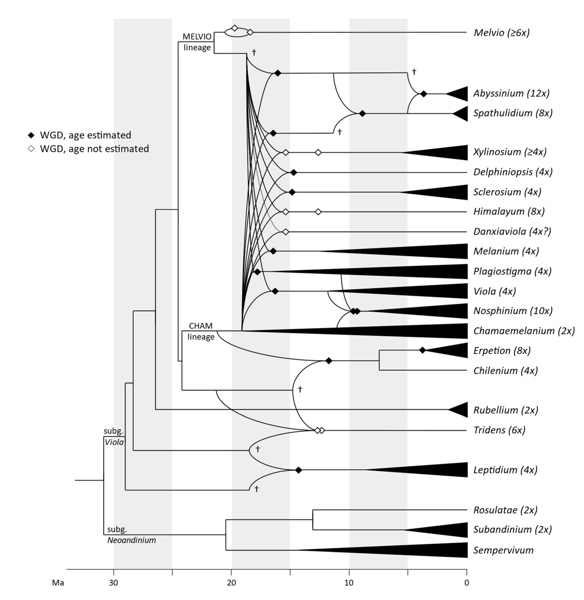 Plants 11 02224 g005 Plants 11 02224 g005
