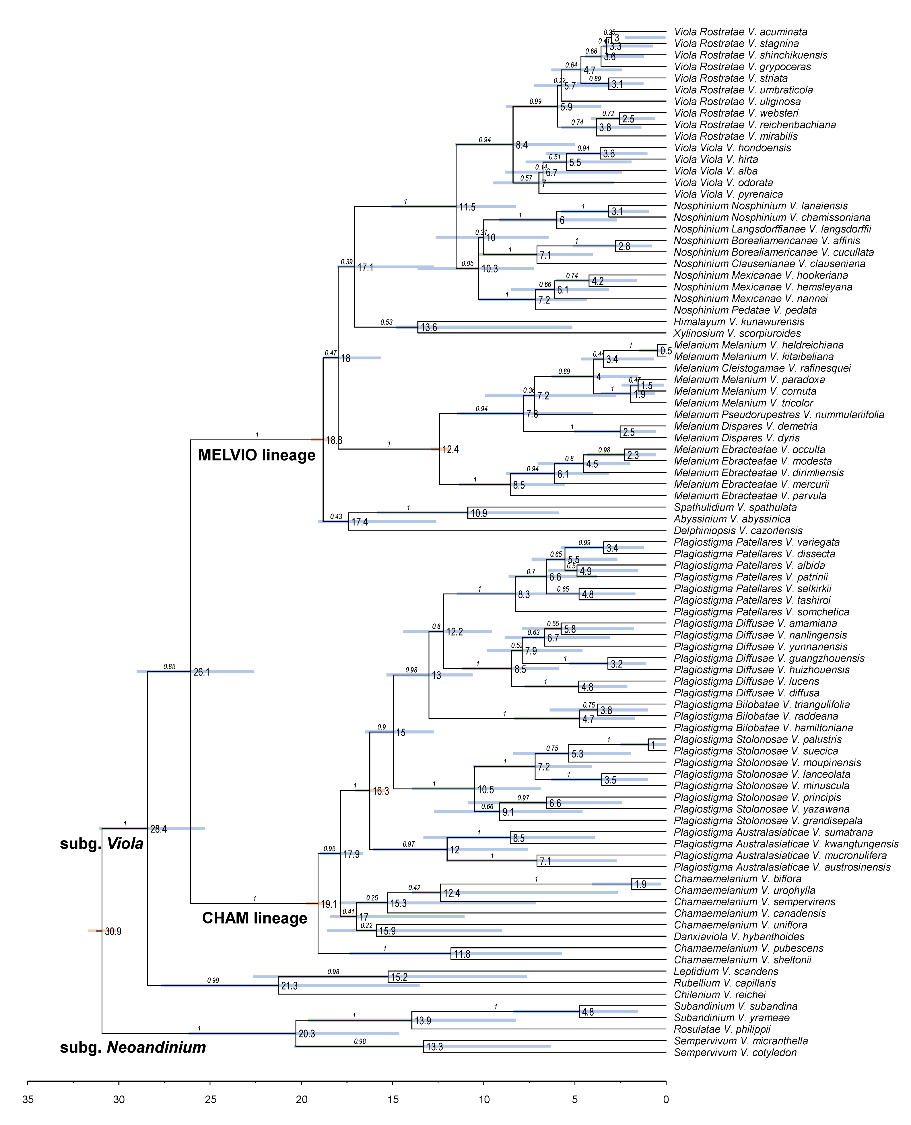 Plants 11 02224 g006 Plants 11 02224 g006
