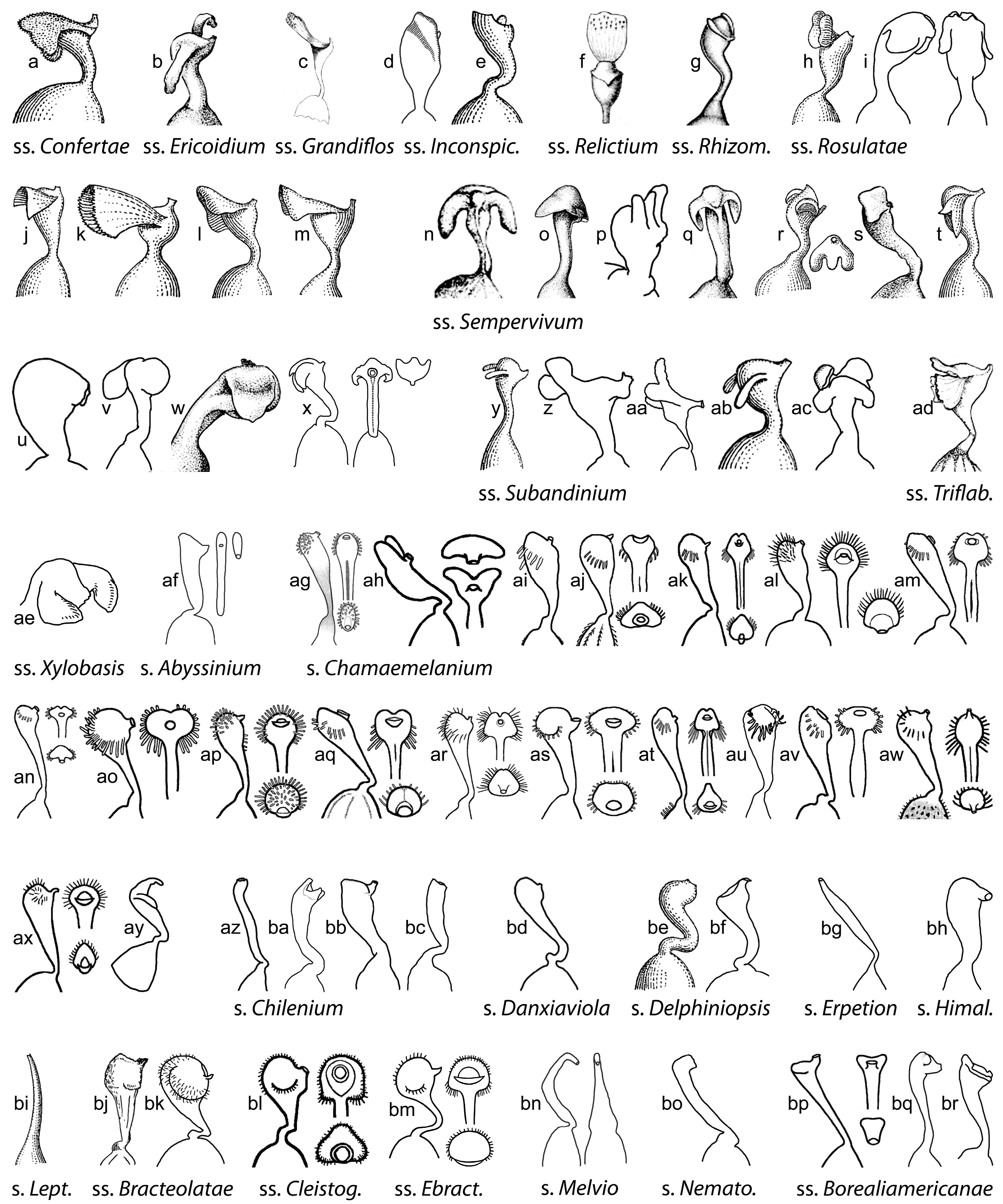 Plants 11 02224 g009a Plants 11 02224 g009a