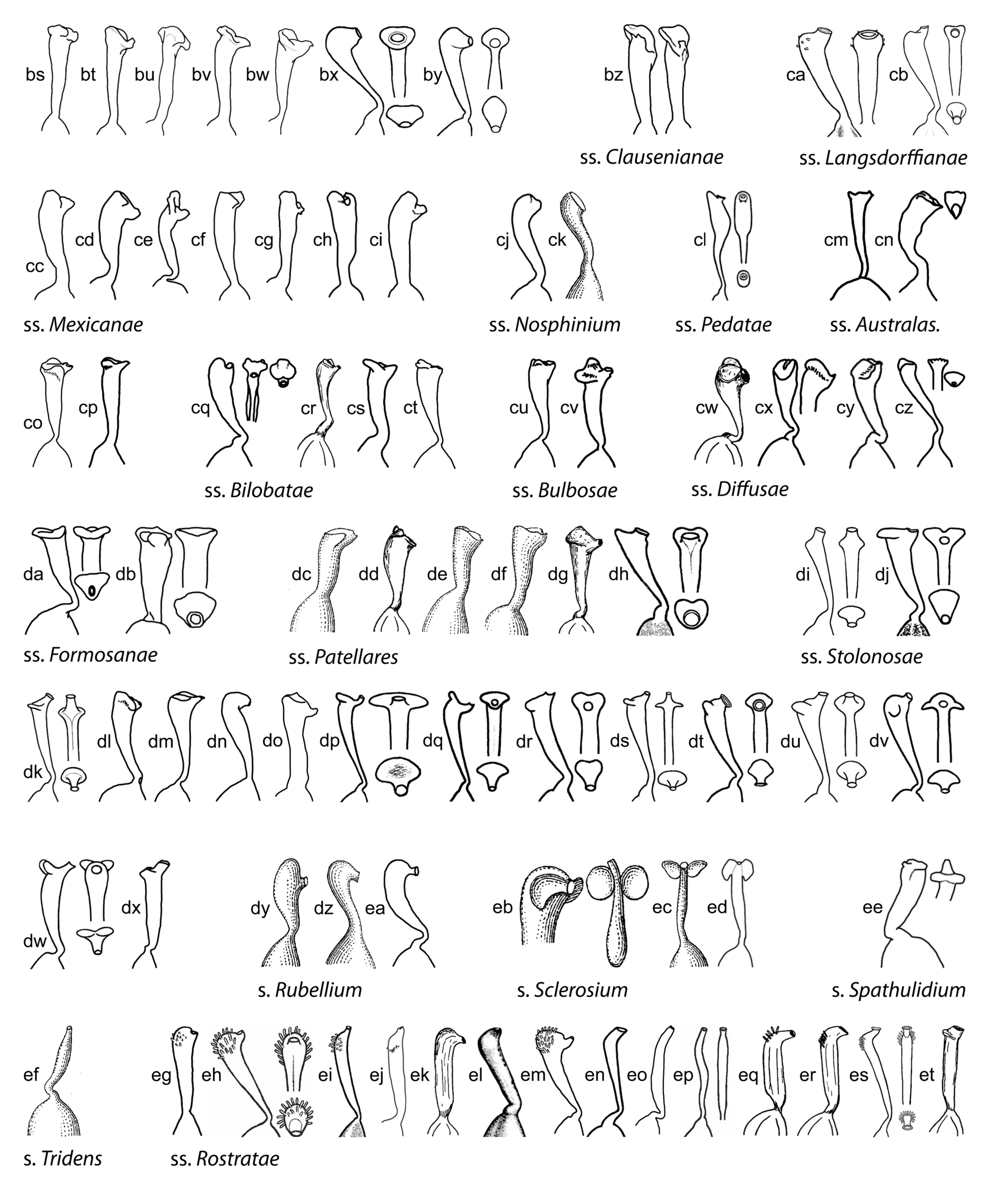 Plants 11 02224 g009b Plants 11 02224 g009b