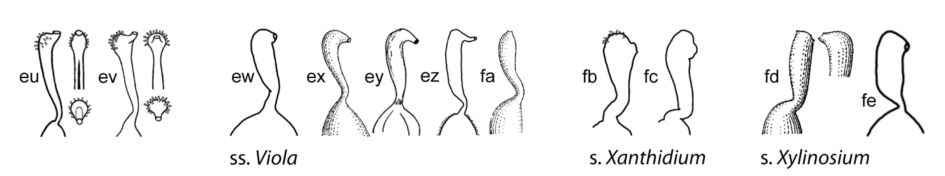 Plants 11 02224 g009c Plants 11 02224 g009c