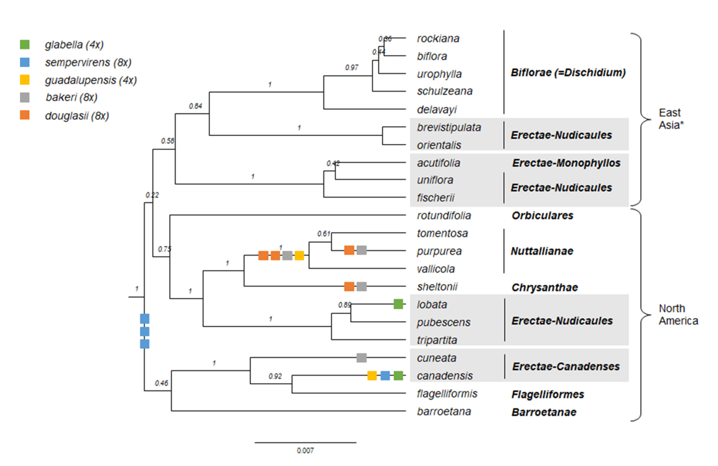 Plants 11 02224 g013 Plants 11 02224 g013