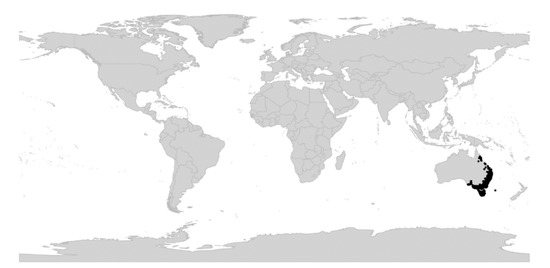 File:Saint Paul Rice's Map 1874.jpg - Wikipedia