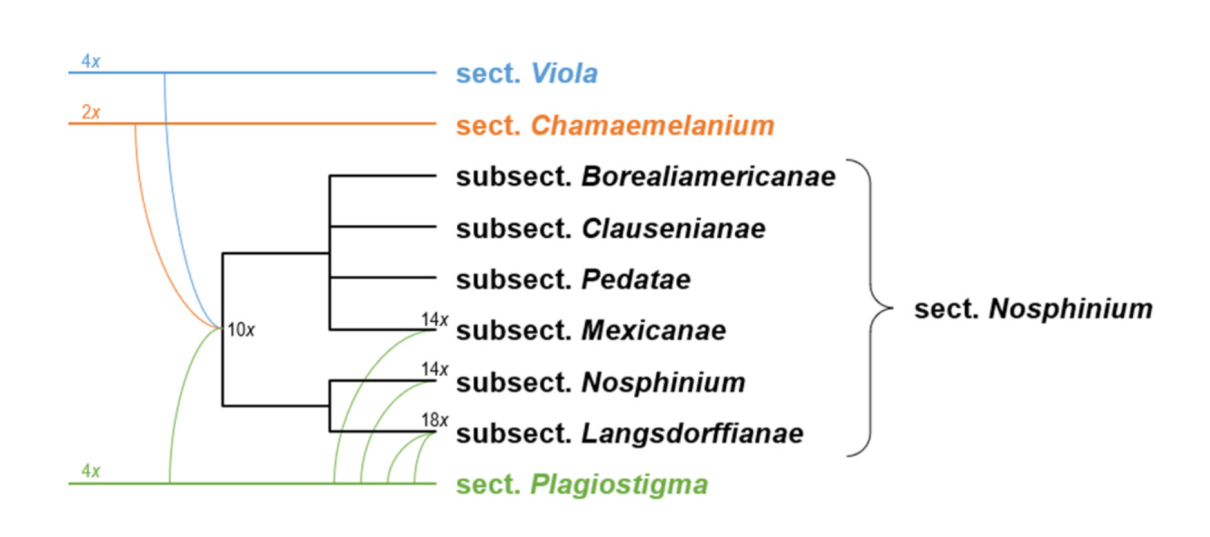 Plants 11 02224 g024 Plants 11 02224 g024