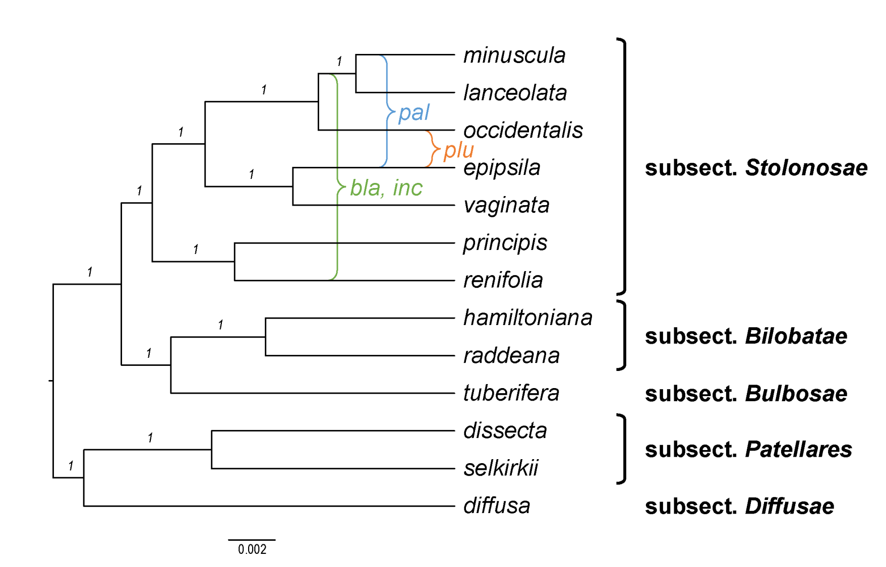 Plants 11 02224 g027 Plants 11 02224 g027
