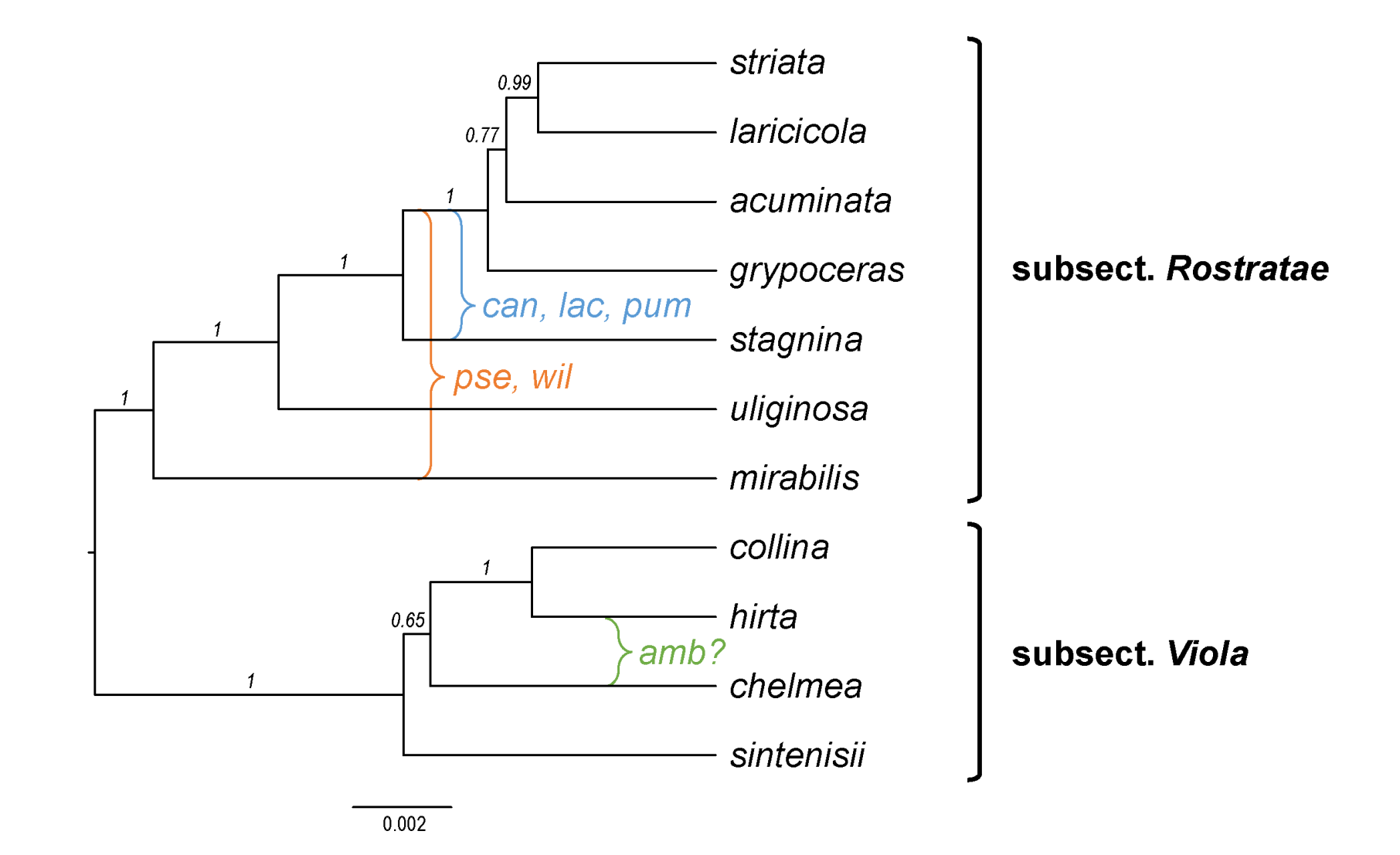 Plants 11 02224 g033 Plants 11 02224 g033