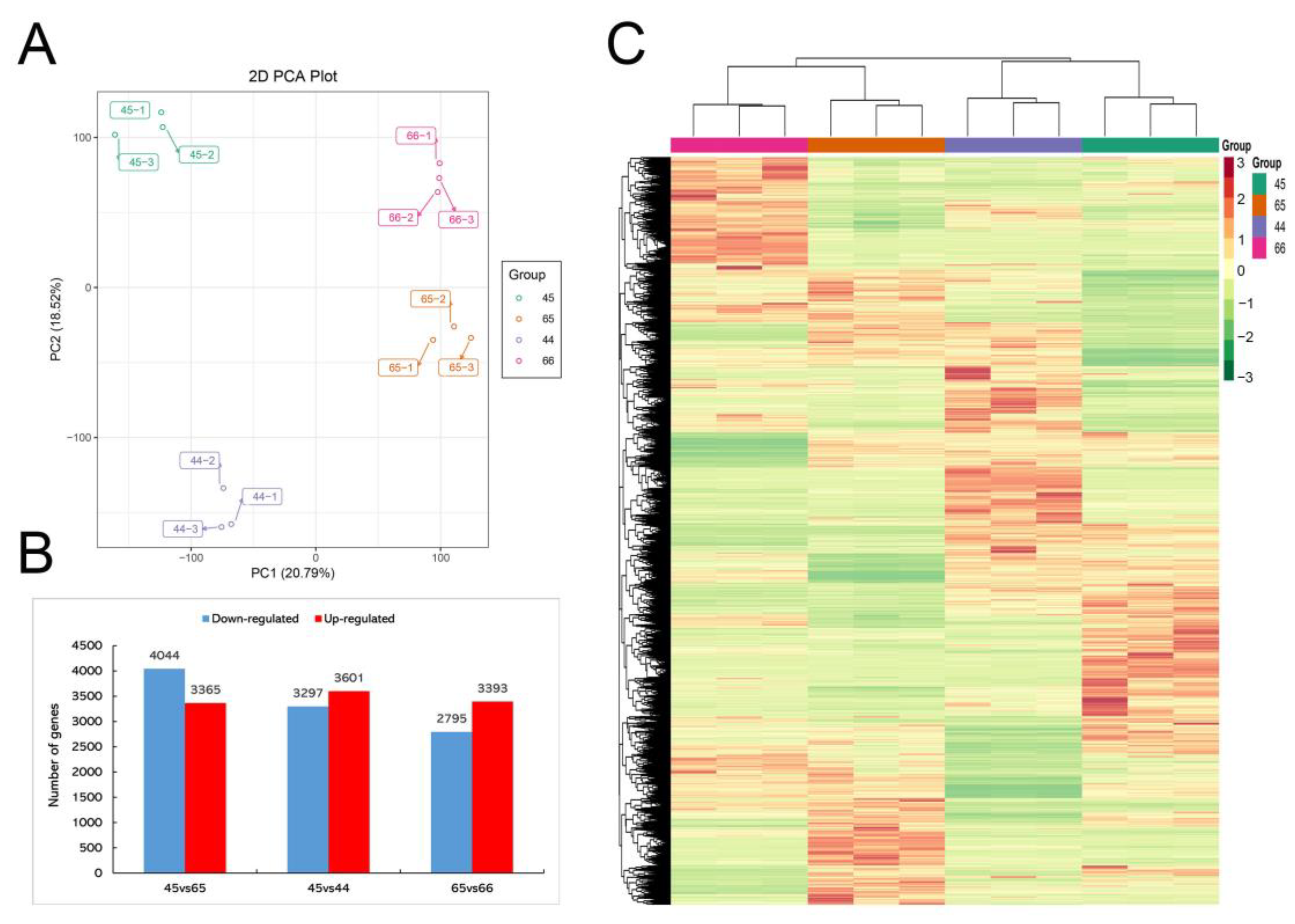 Plants 11 02229 g002
