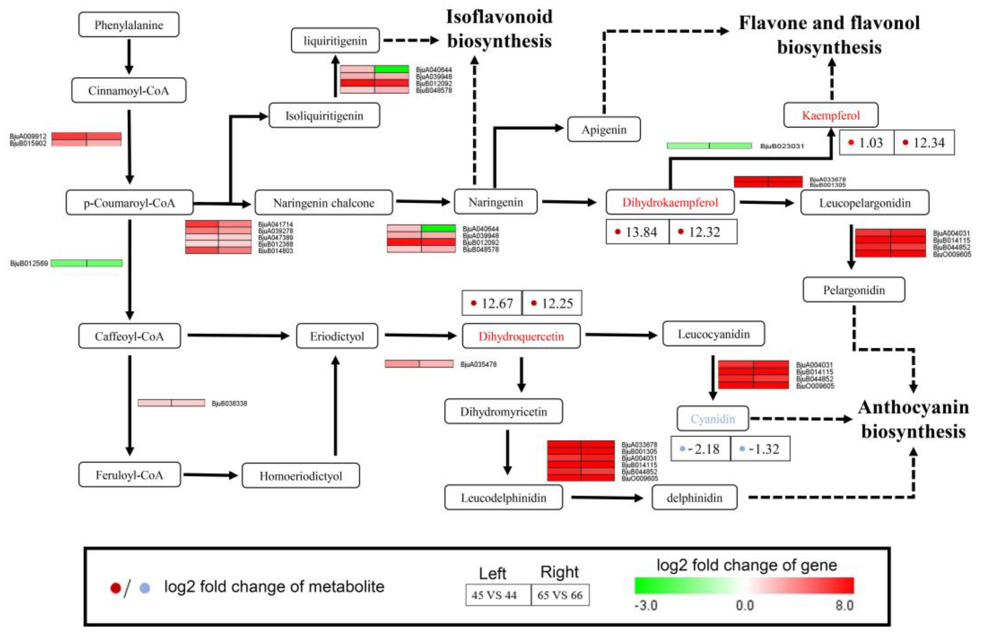 Plants 11 02229 g008