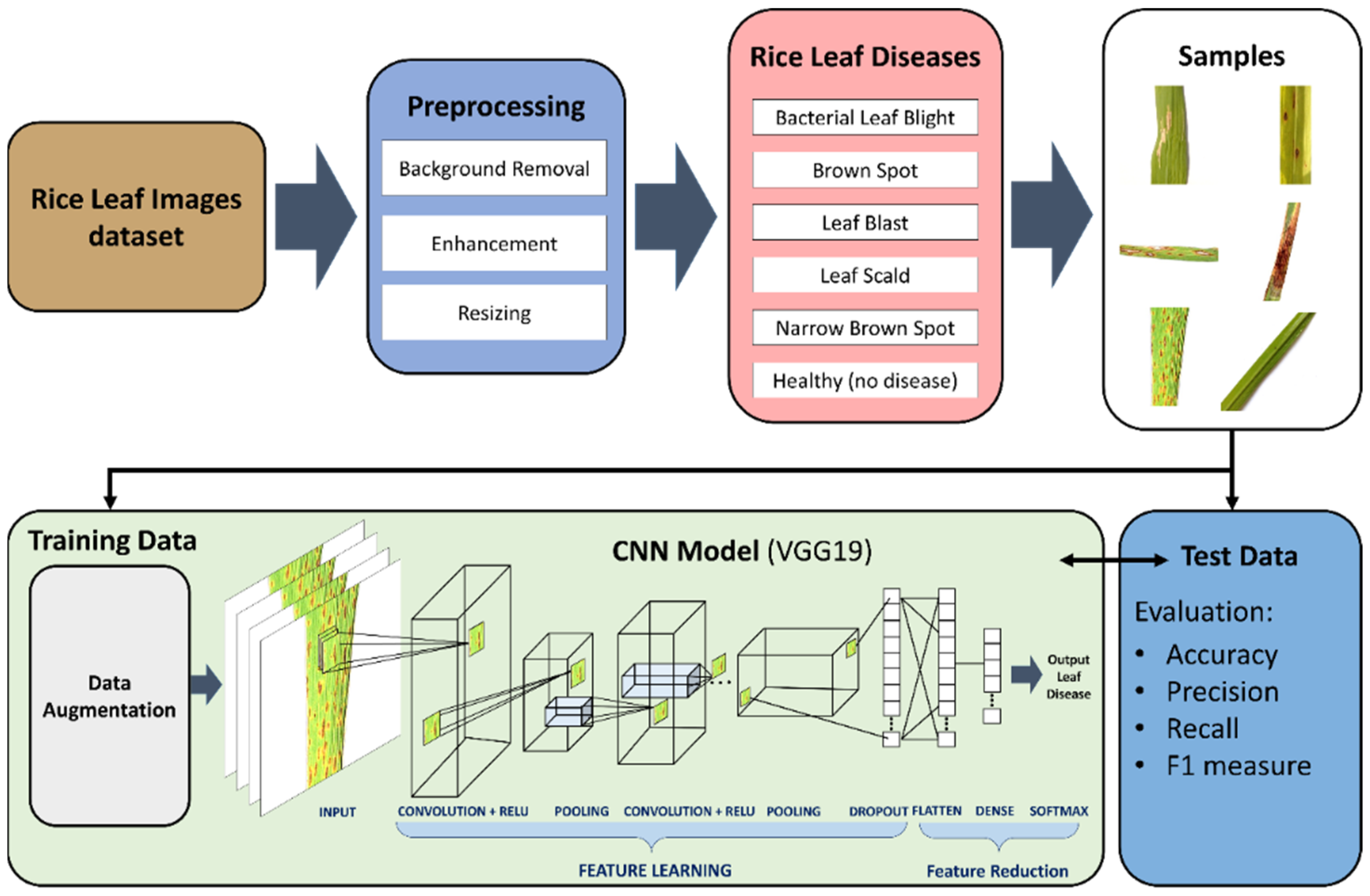 How Convolutional Neural Networks Diagnose Plant Disease Infoupdate
