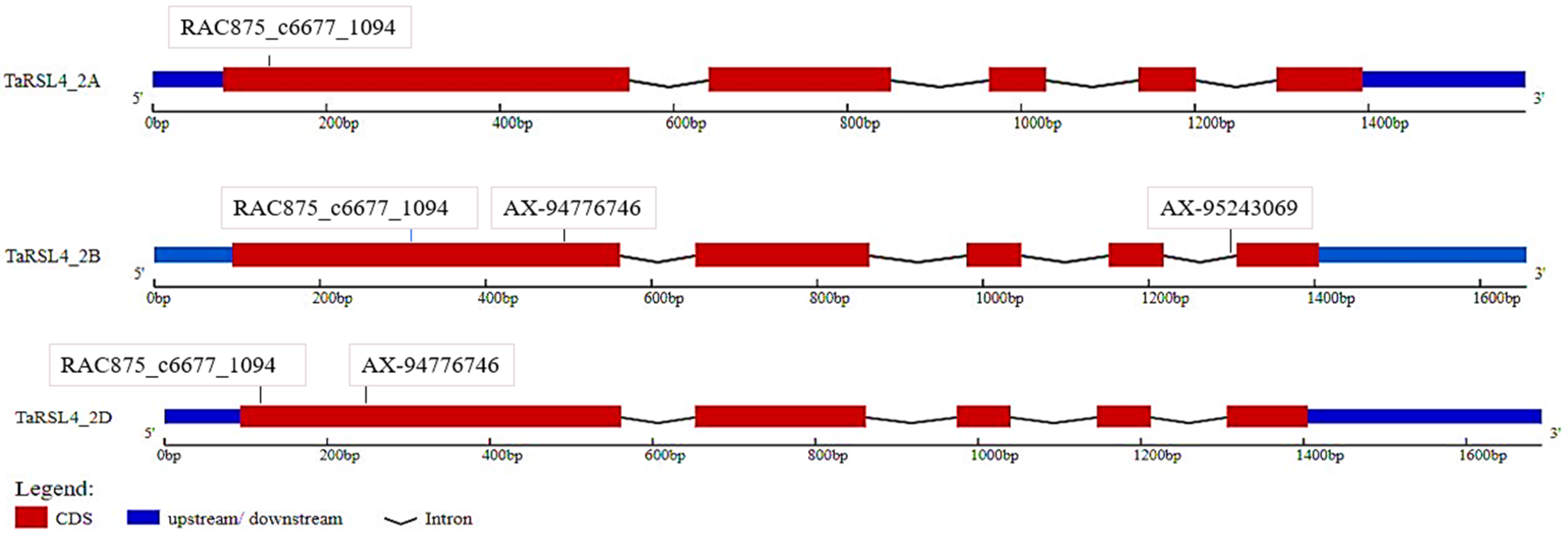 Plants 11 02235 g005 550