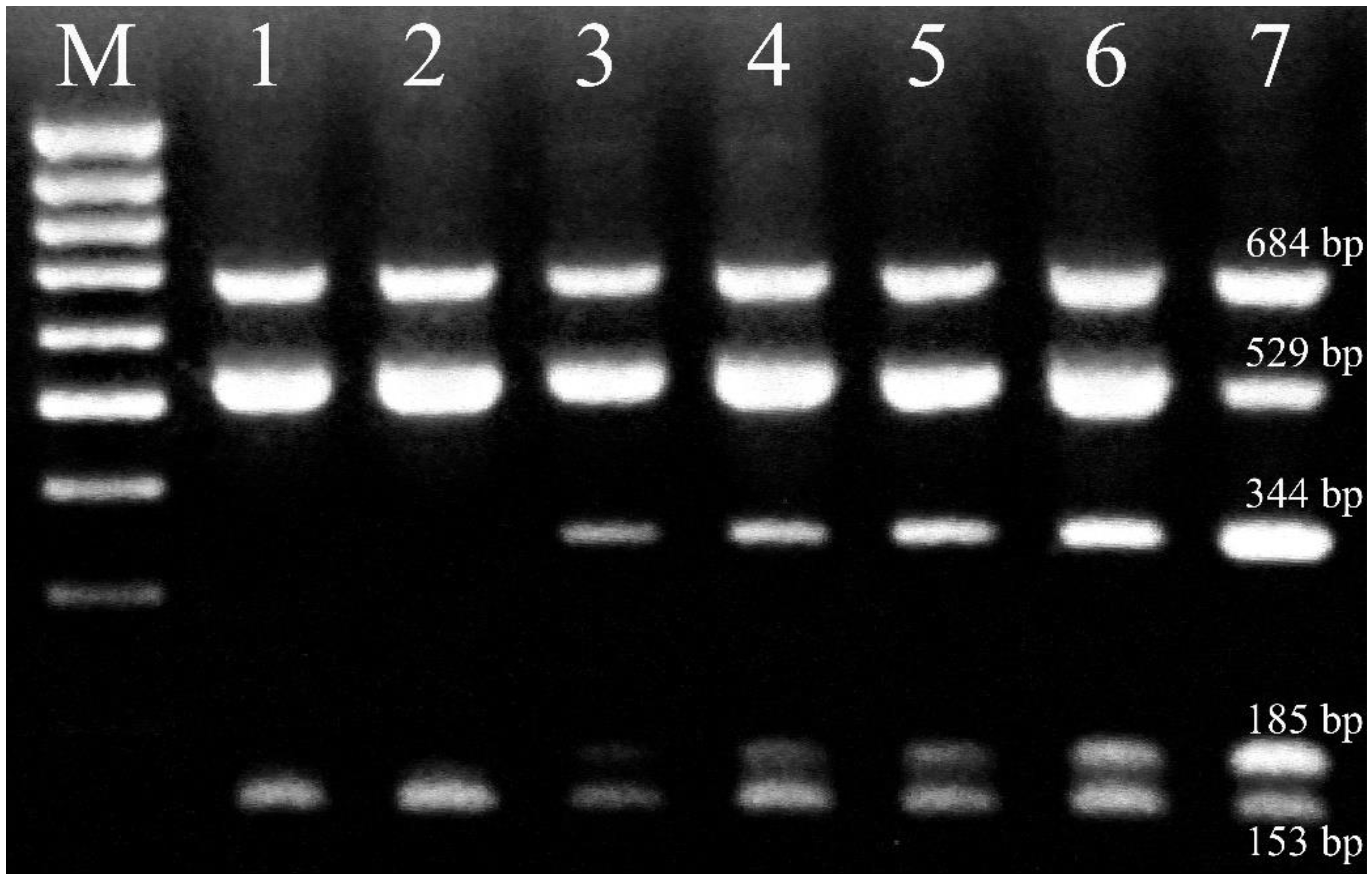 Plants 11 02239 g002 Plants 11 02239 g002