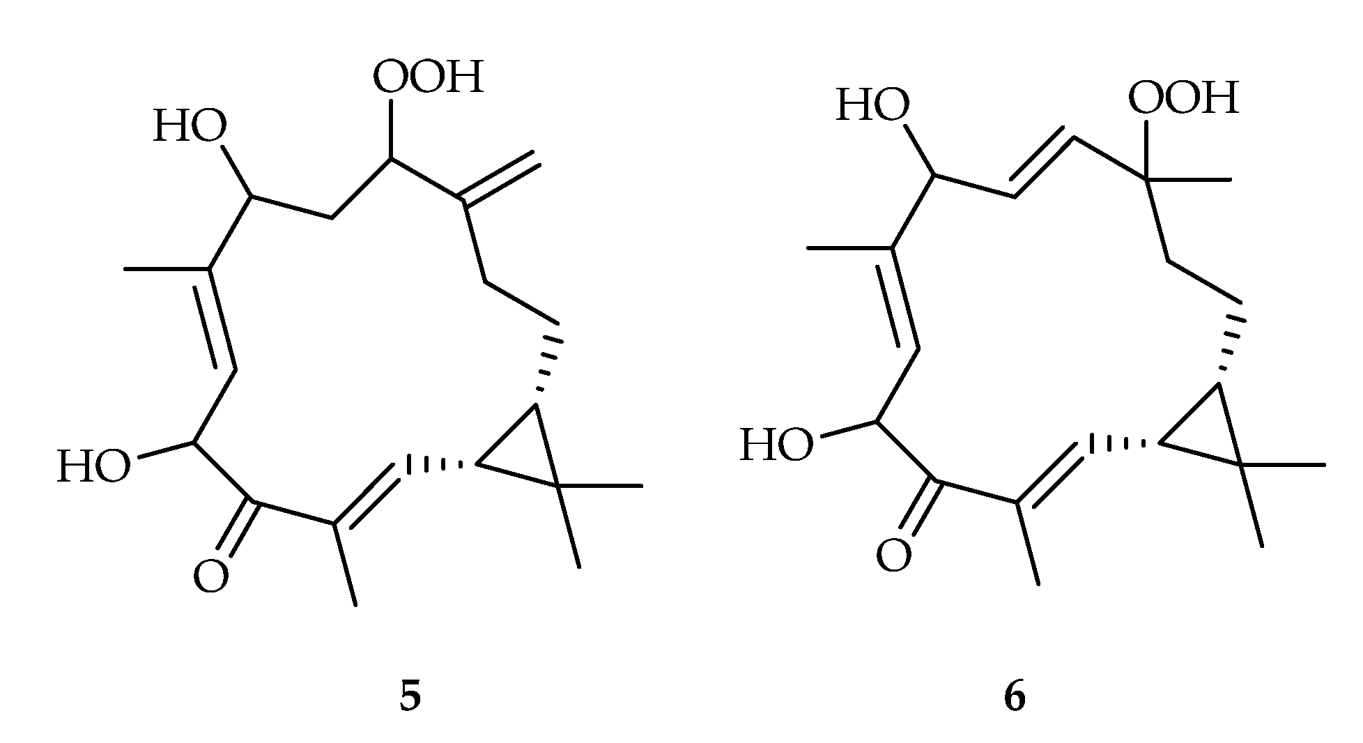 Plants 11 02240 g003