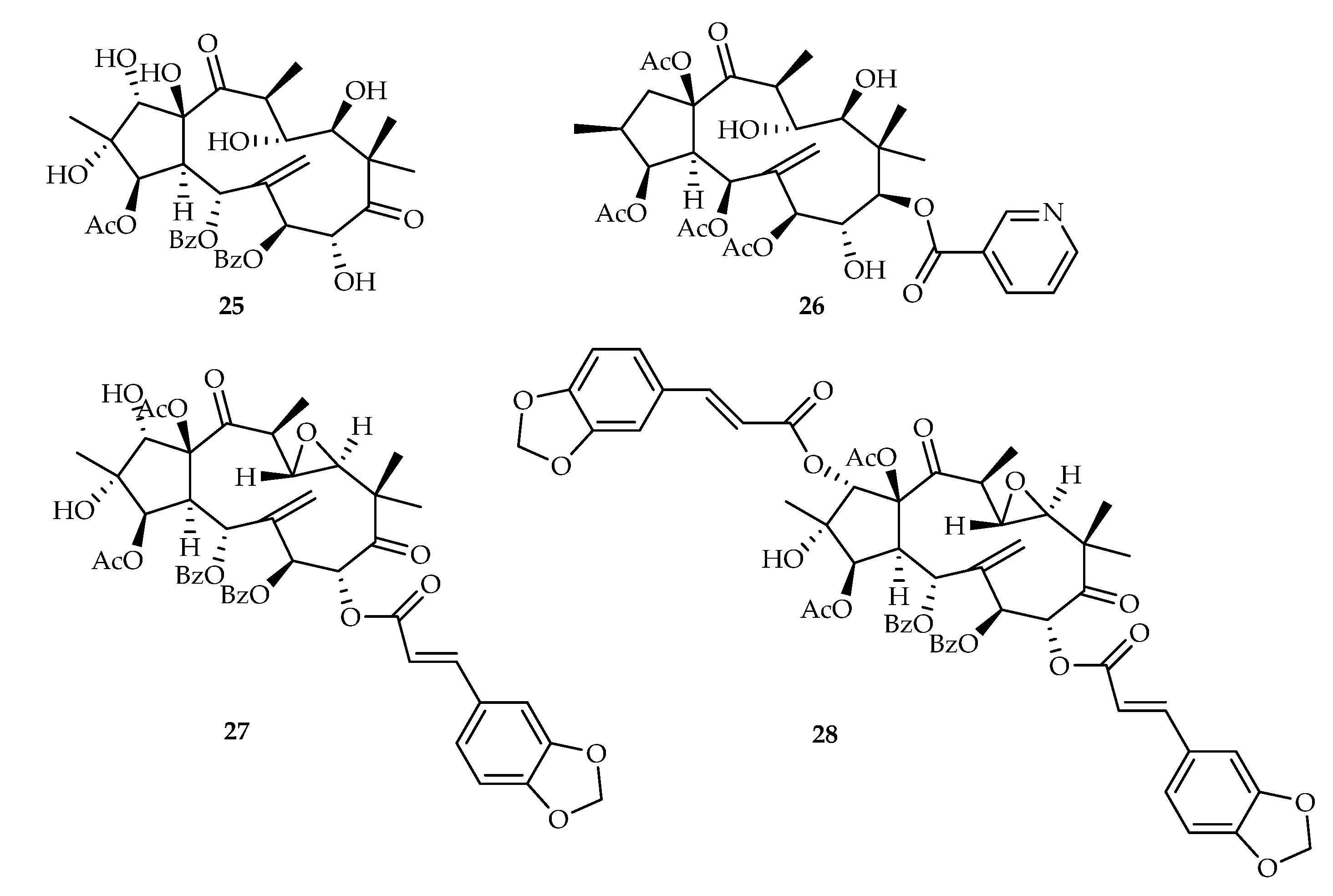 Plants 11 02240 g011 Plants 11 02240 g011