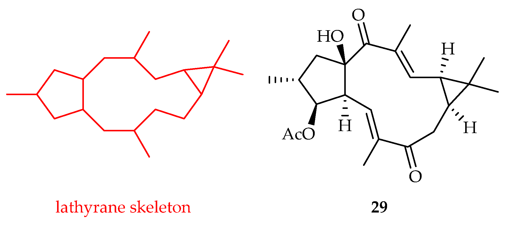 Plants 11 02240 g012 Plants 11 02240 g012
