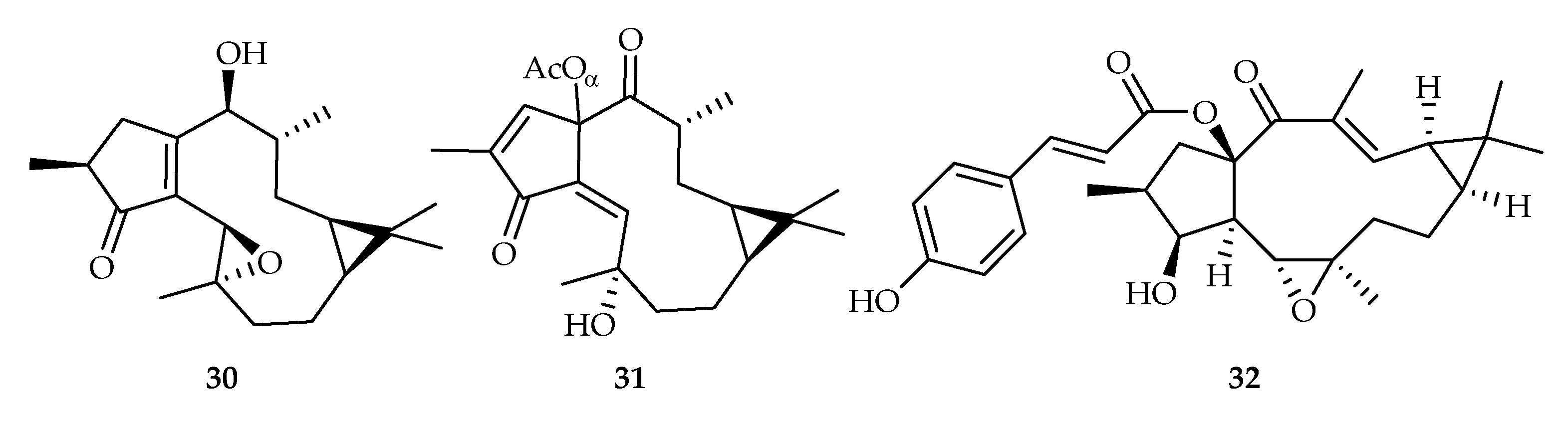 Plants 11 02240 g013 Plants 11 02240 g013