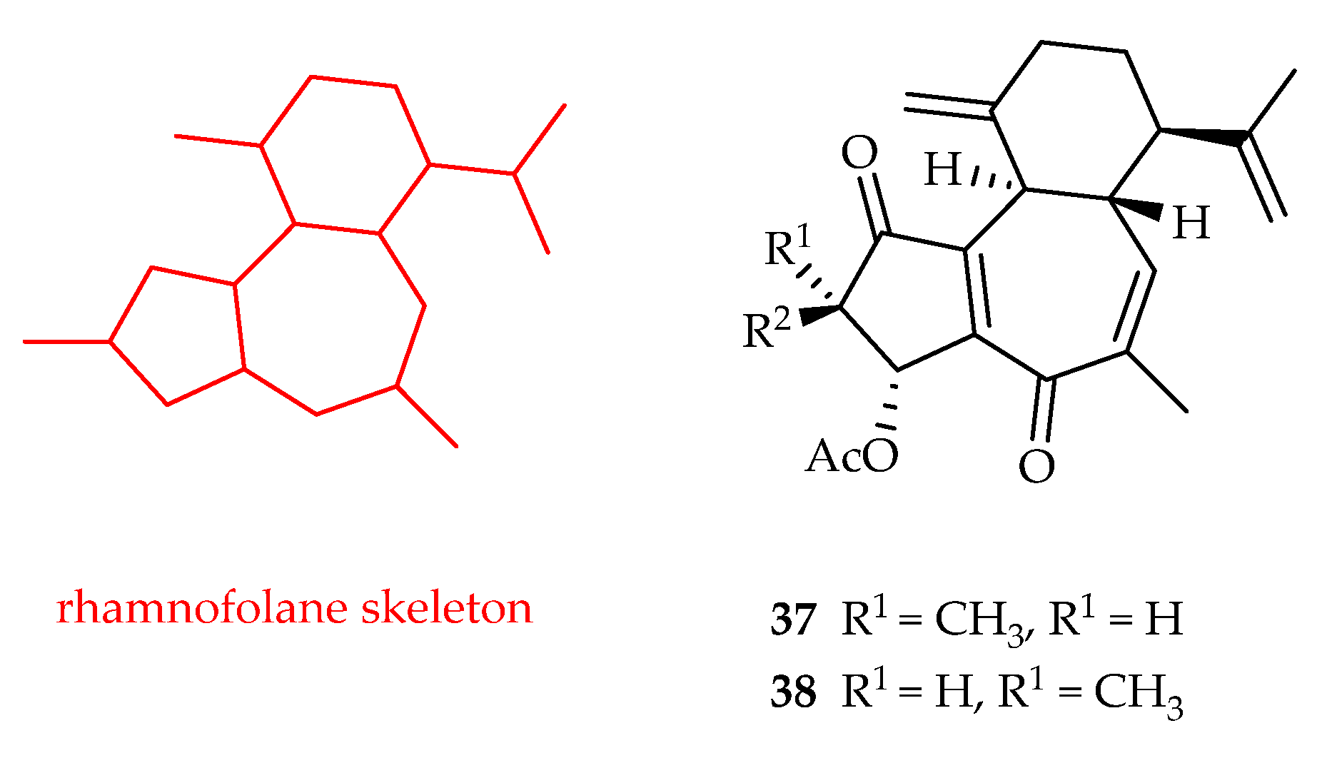 Plants 11 02240 g016