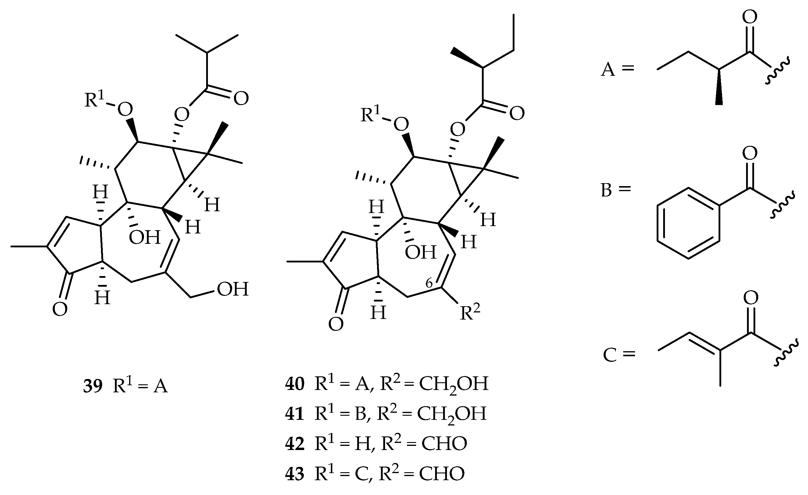 Plants 11 02240 g017 Plants 11 02240 g017