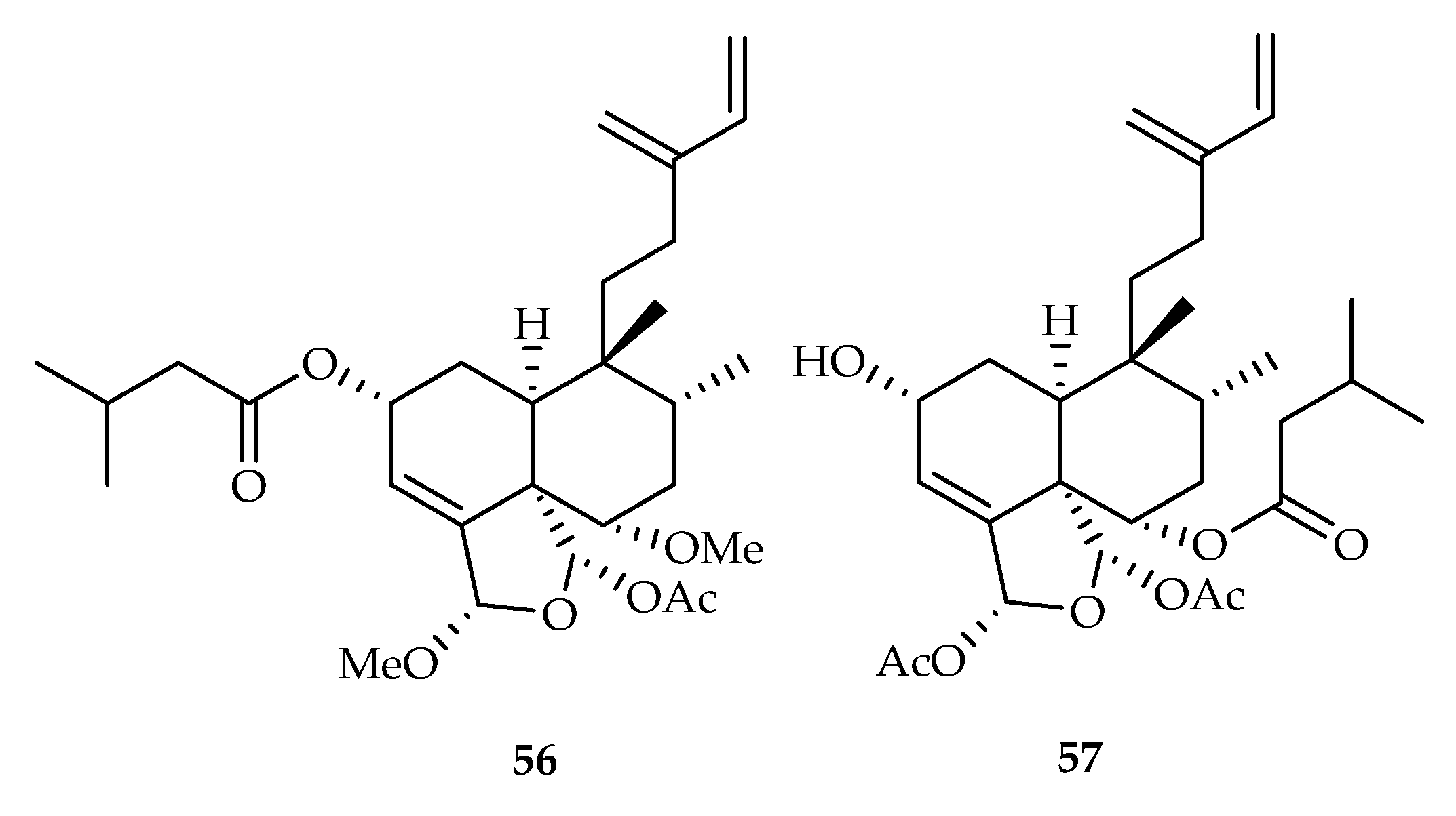Plants 11 02240 g024