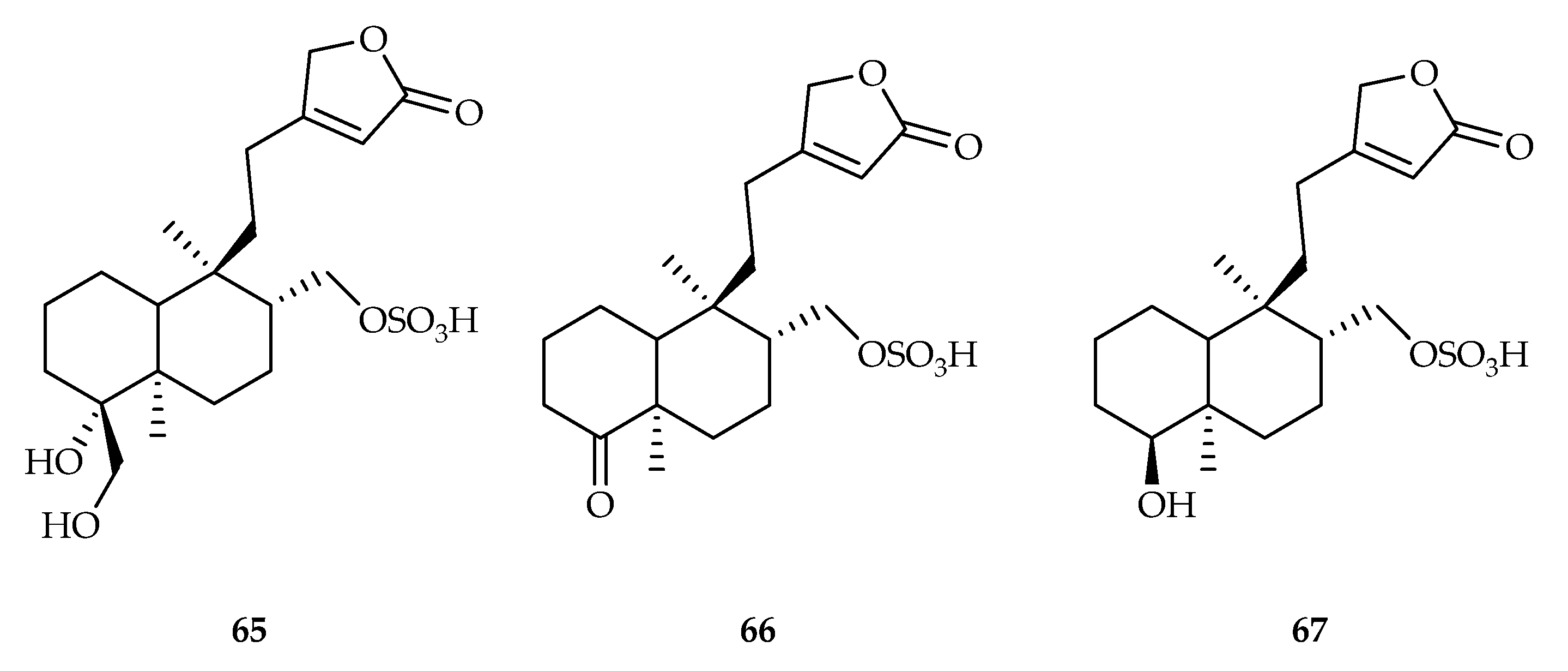 Plants 11 02240 g028 Plants 11 02240 g028