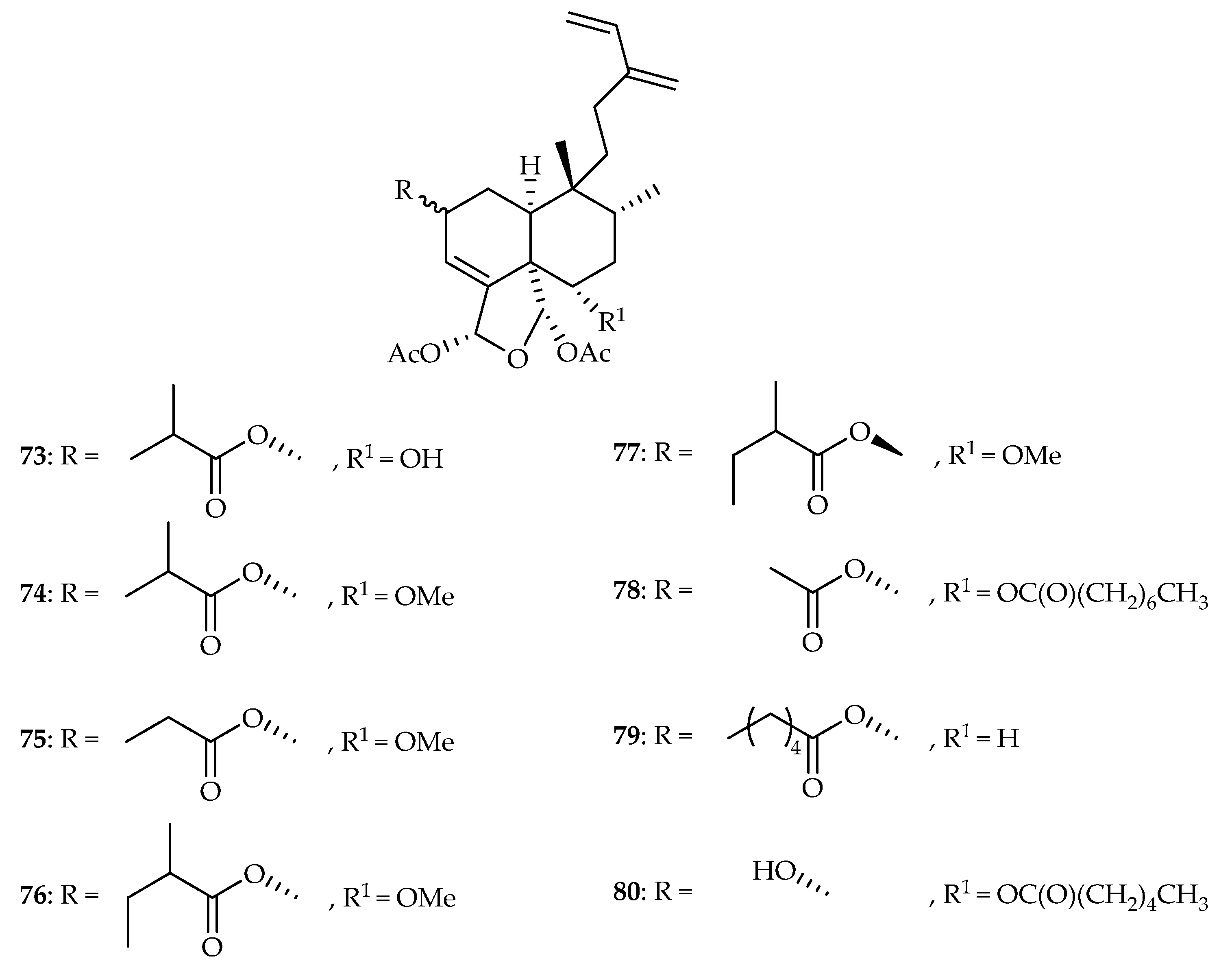 Plants 11 02240 g031 Plants 11 02240 g031