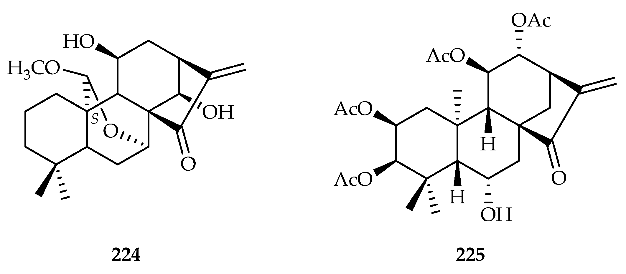 Plants 11 02240 g088