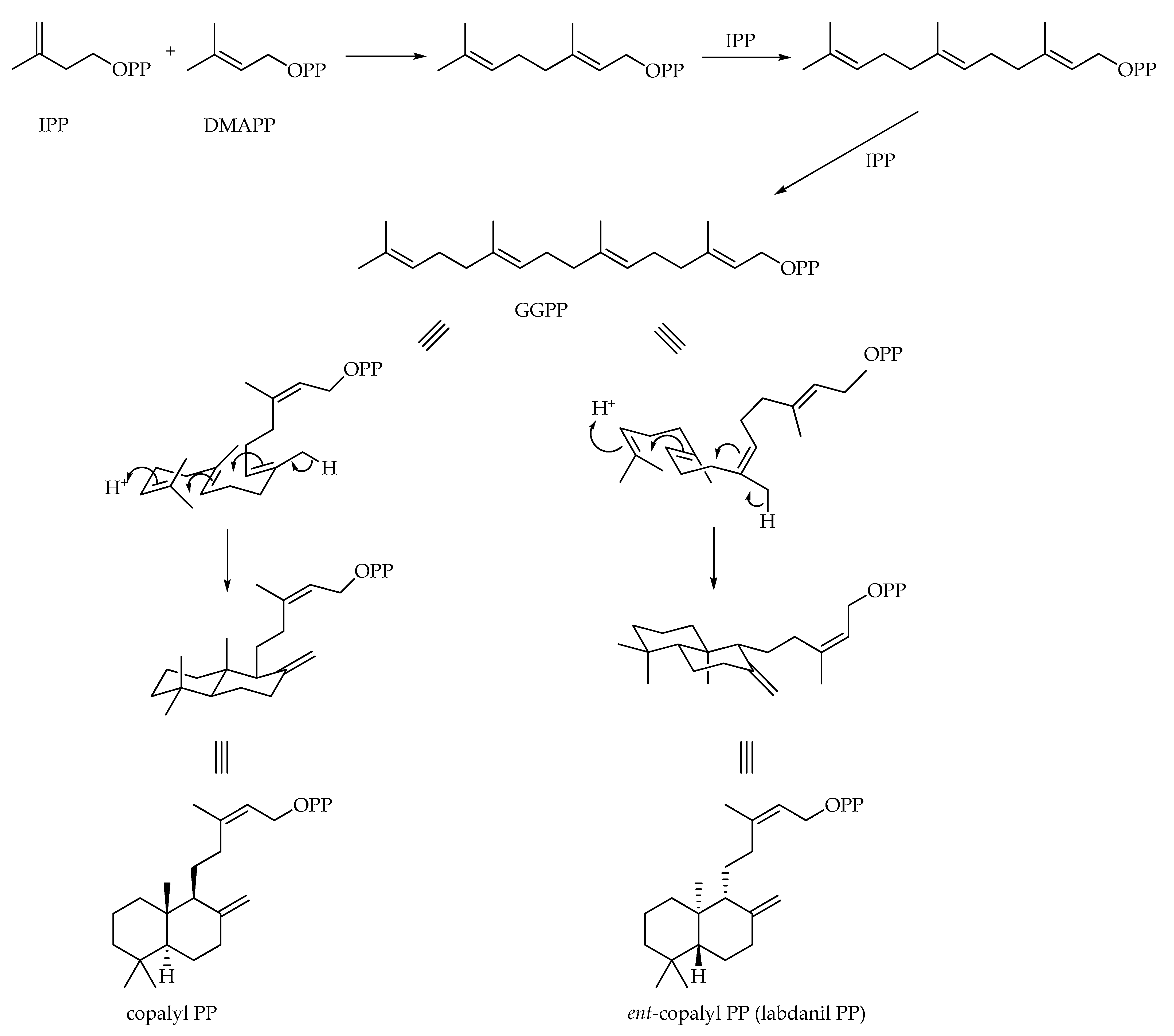 Plants 11 02240 sch002 Plants 11 02240 sch002