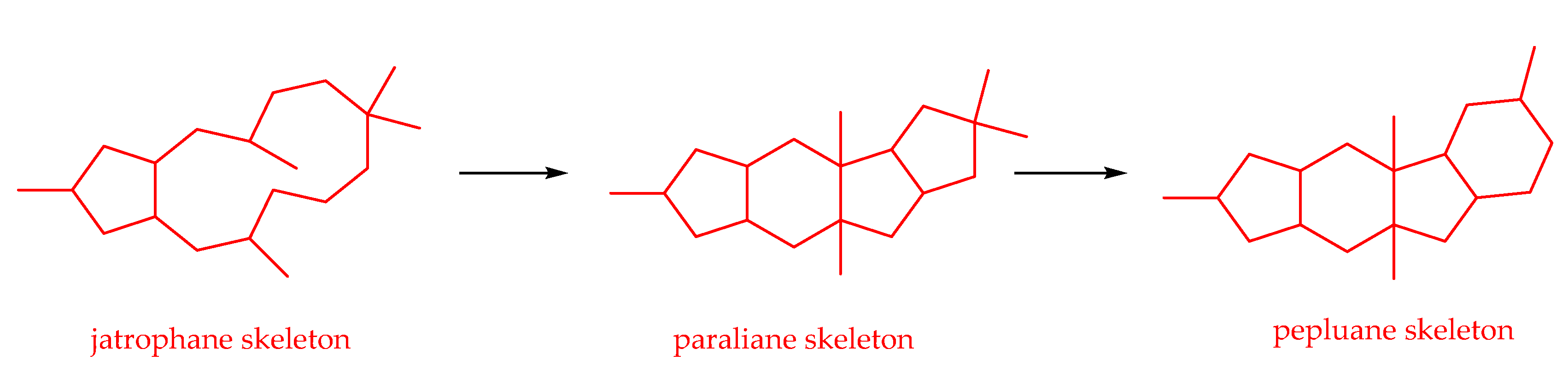 Plants 11 02240 sch005 Plants 11 02240 sch005