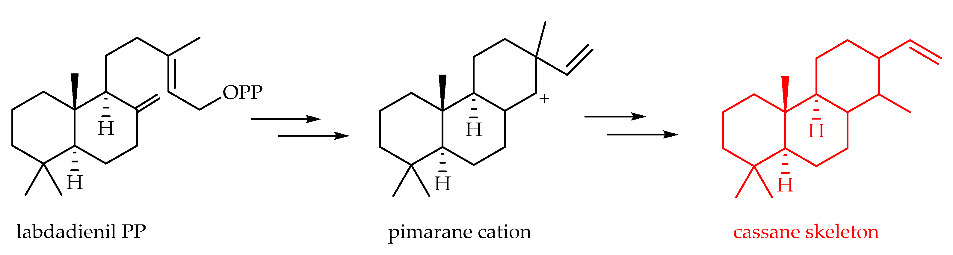 Plants 11 02240 sch007 Plants 11 02240 sch007