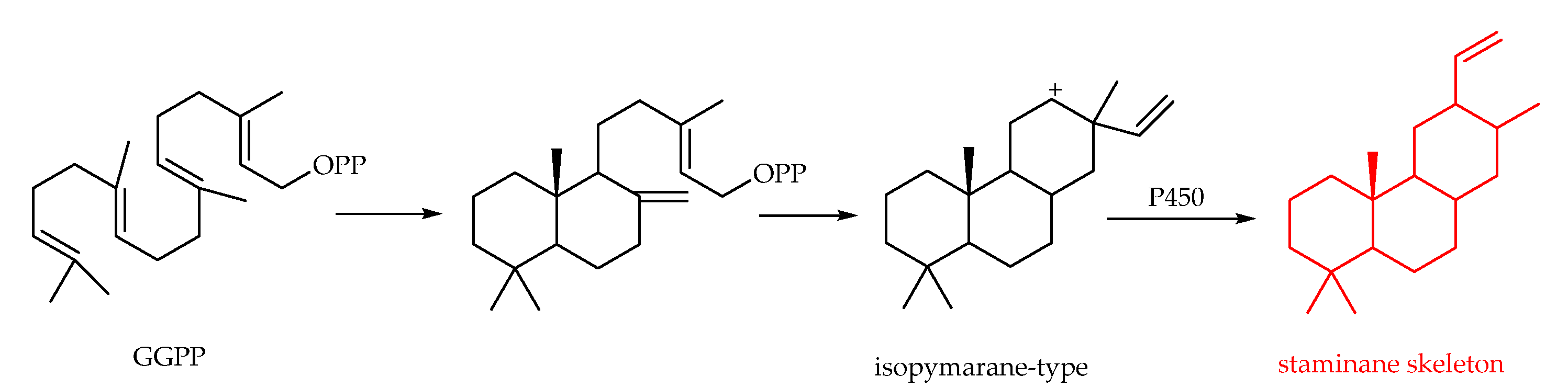 Plants 11 02240 sch008 Plants 11 02240 sch008