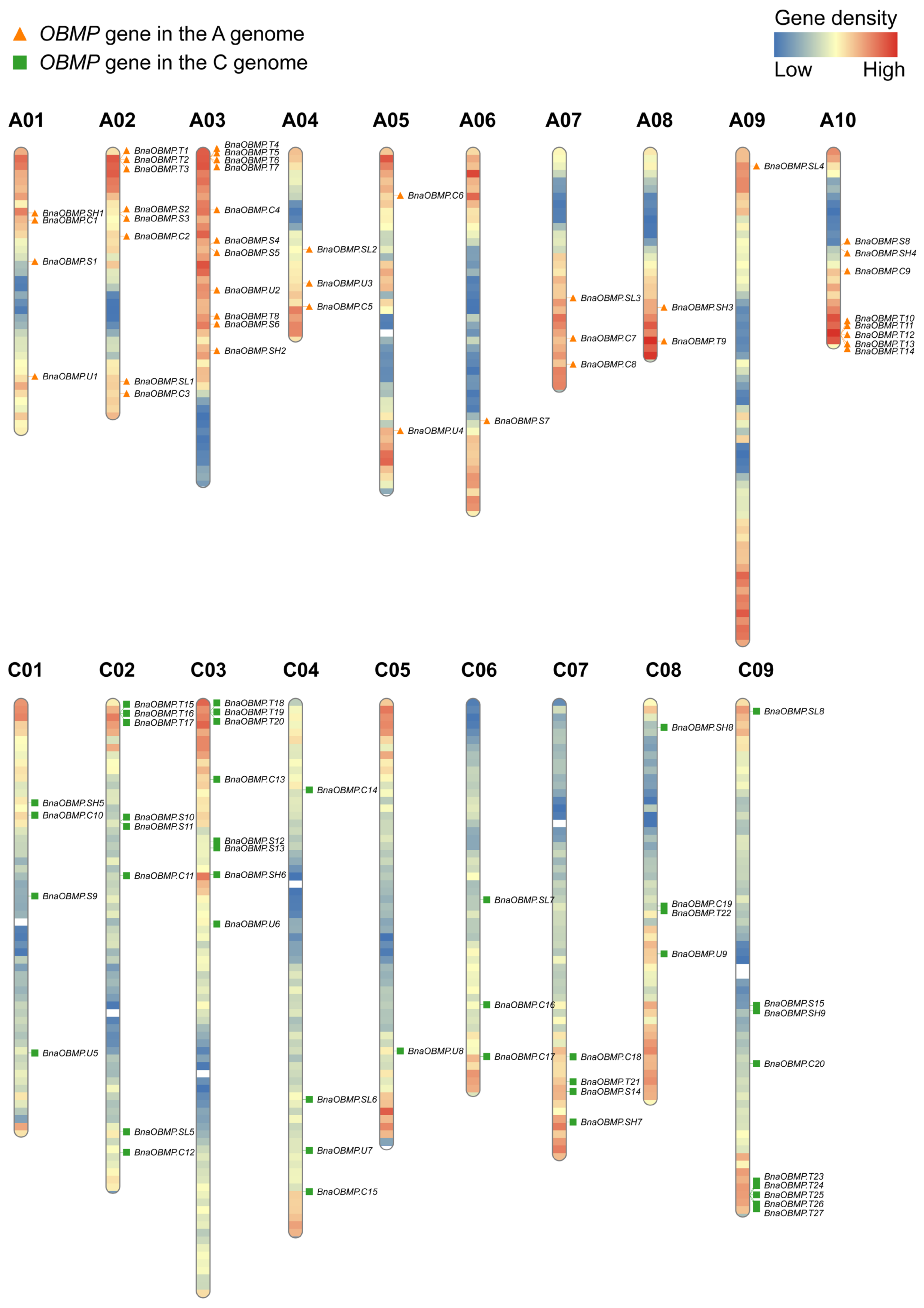 Plants 11 02241 g001 Plants 11 02241 g001