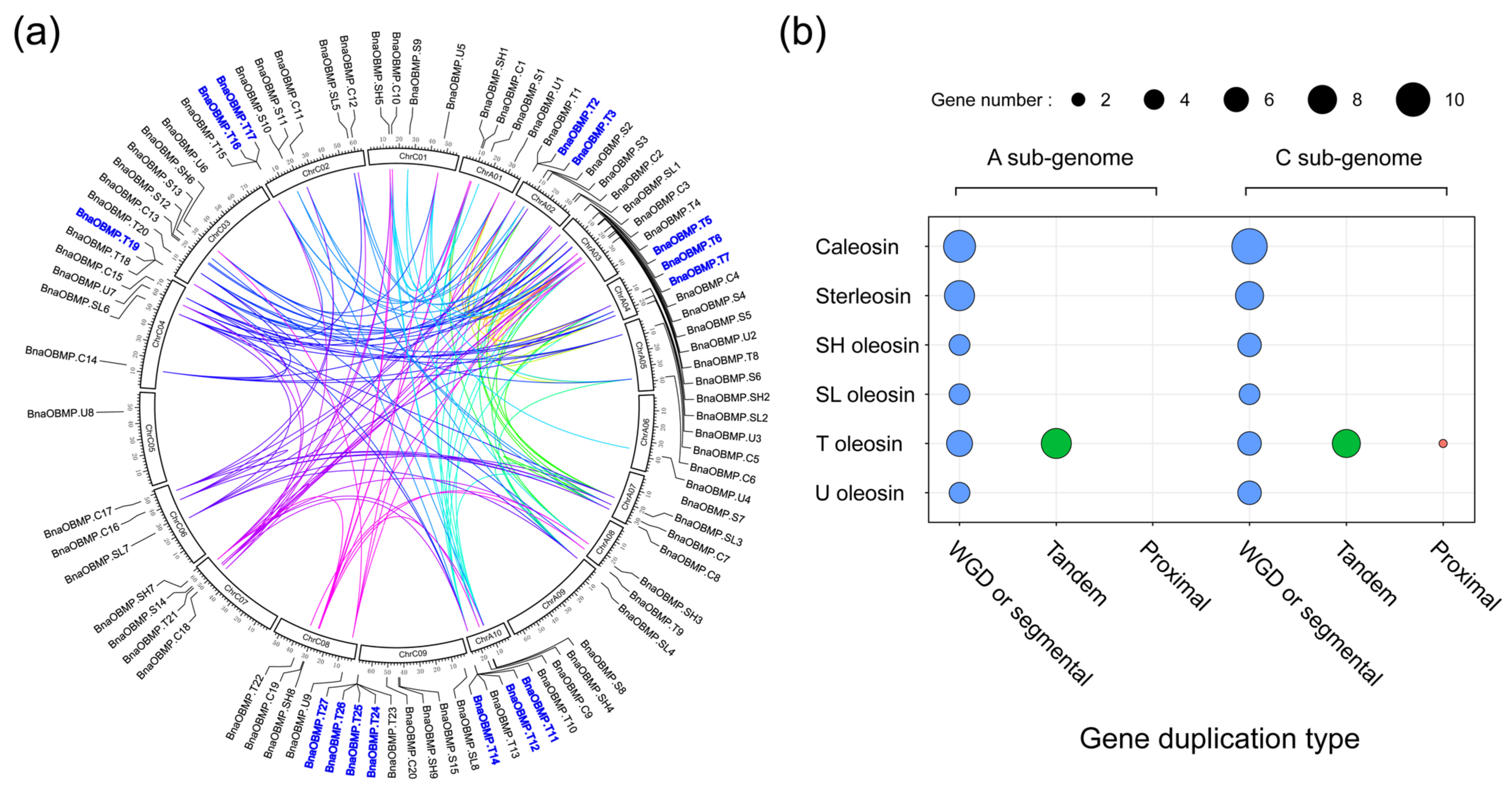 Plants 11 02241 g003 Plants 11 02241 g003
