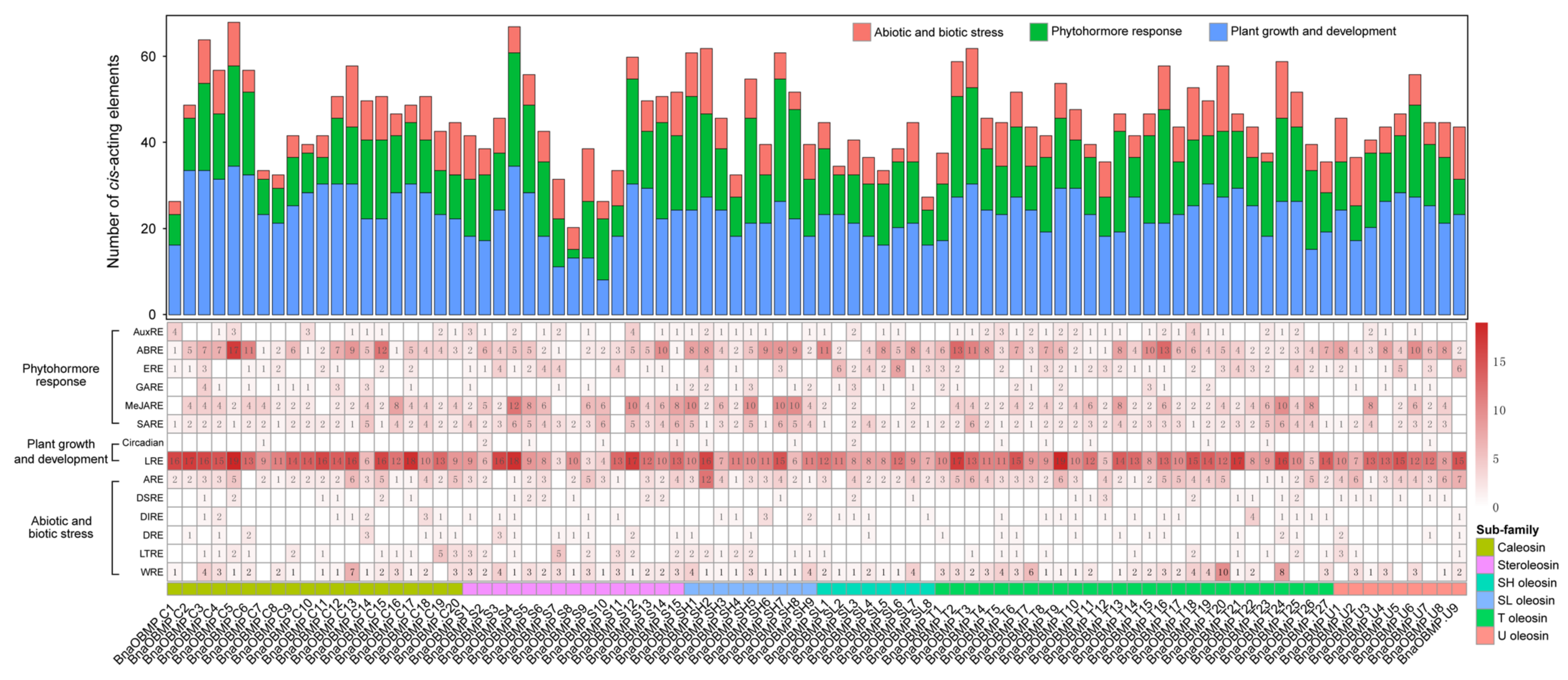 Plants 11 02241 g004 Plants 11 02241 g004