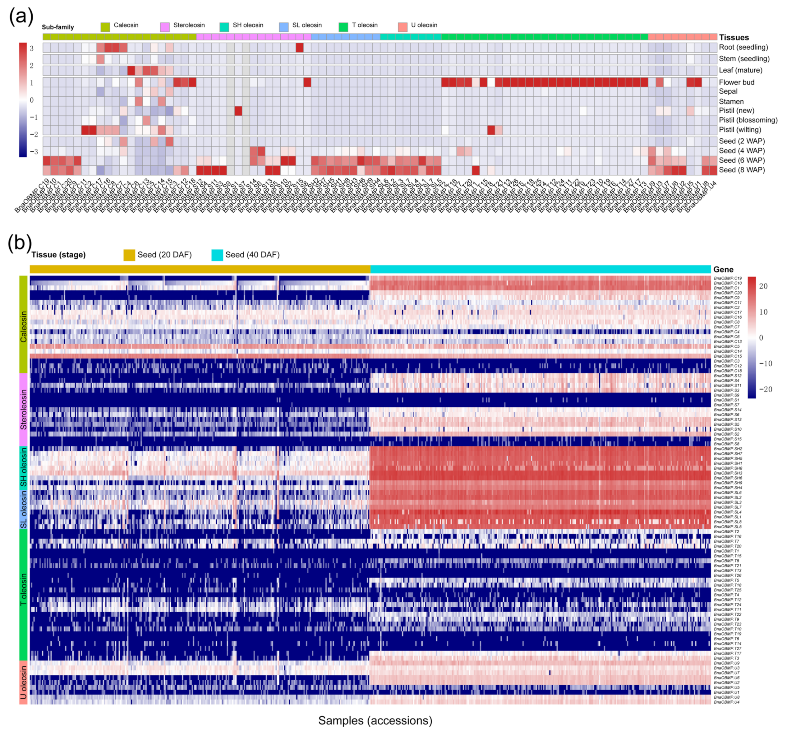 Plants 11 02241 g006 Plants 11 02241 g006