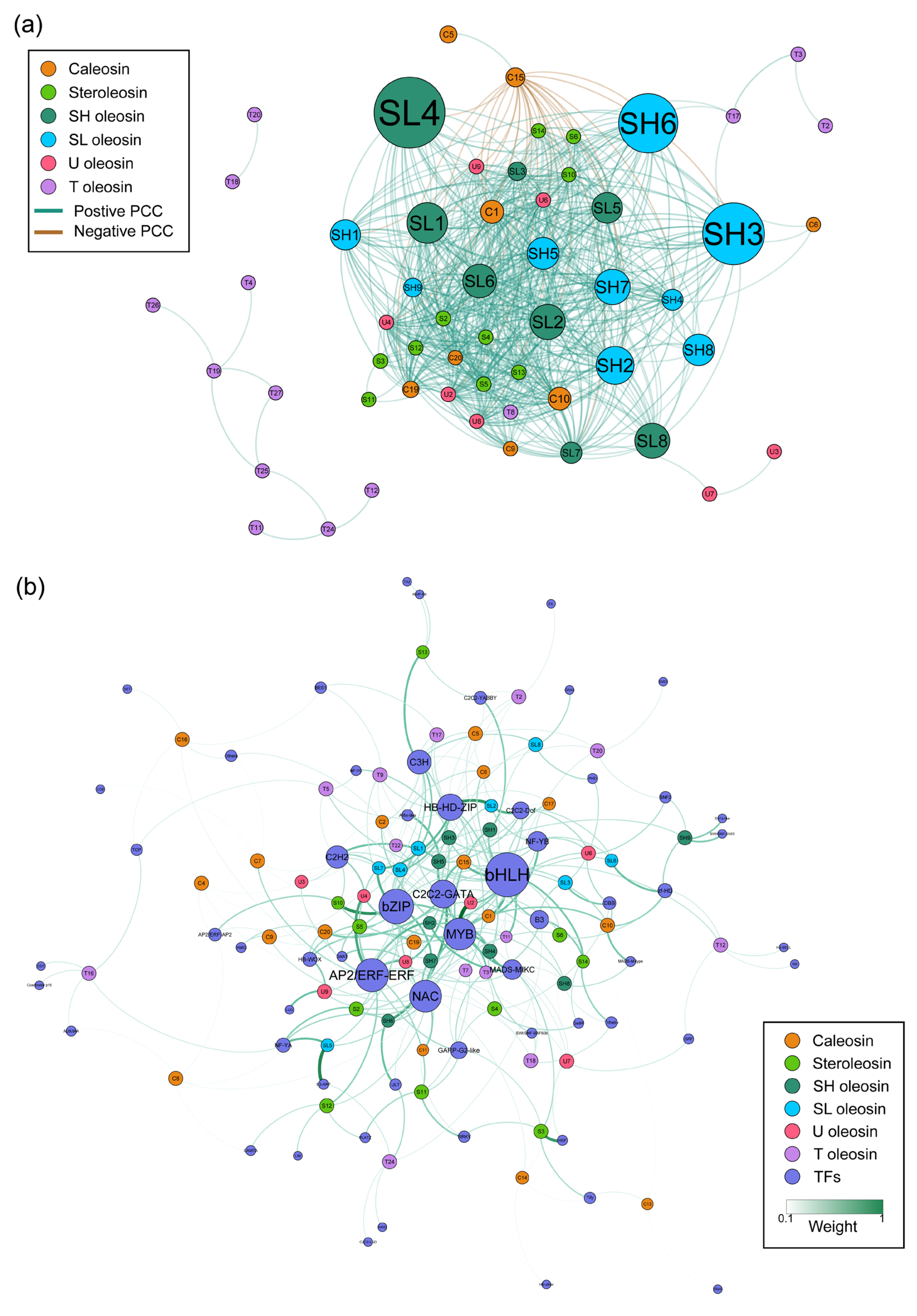 Plants 11 02241 g008 Plants 11 02241 g008