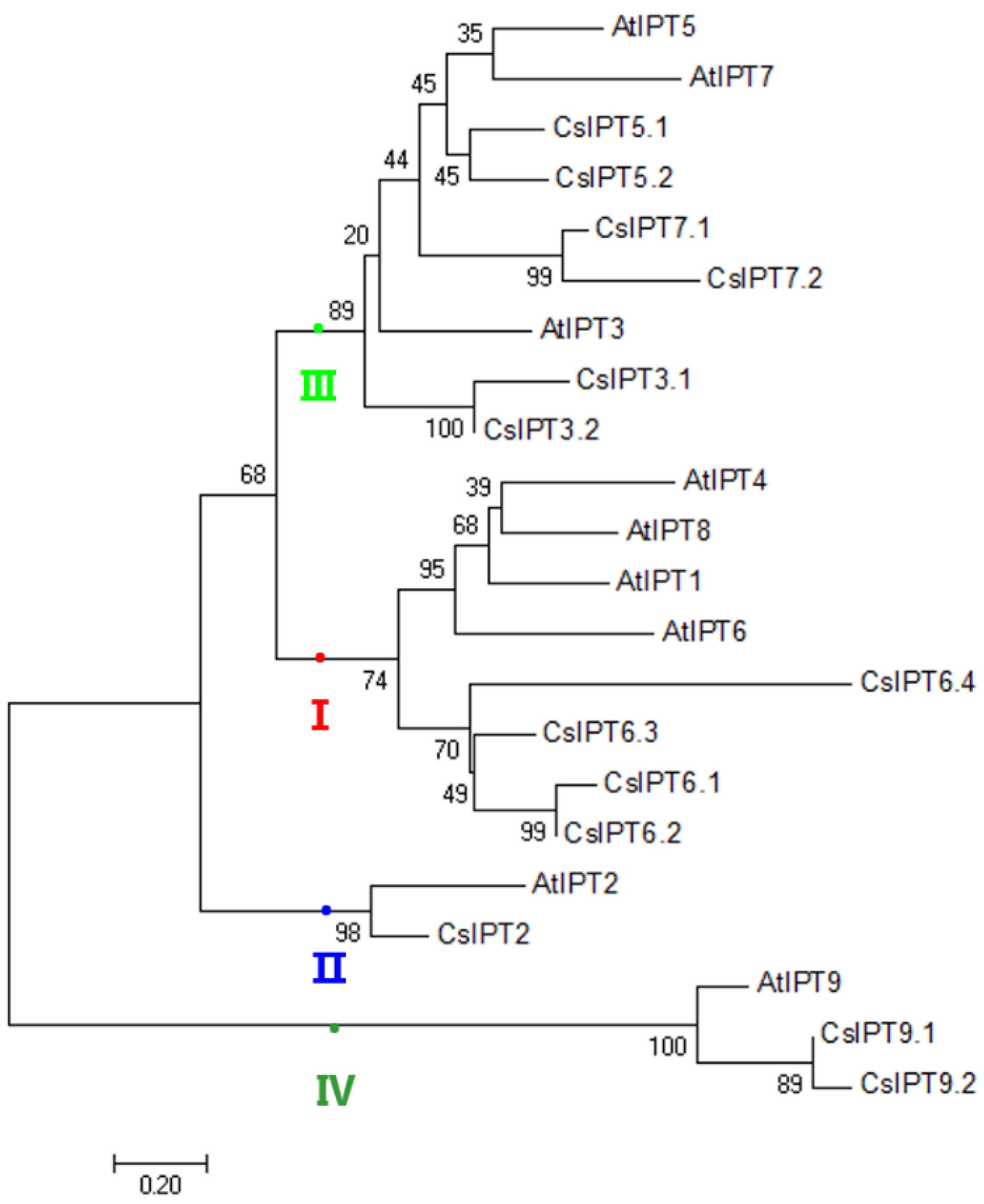Plants 11 02243 g001