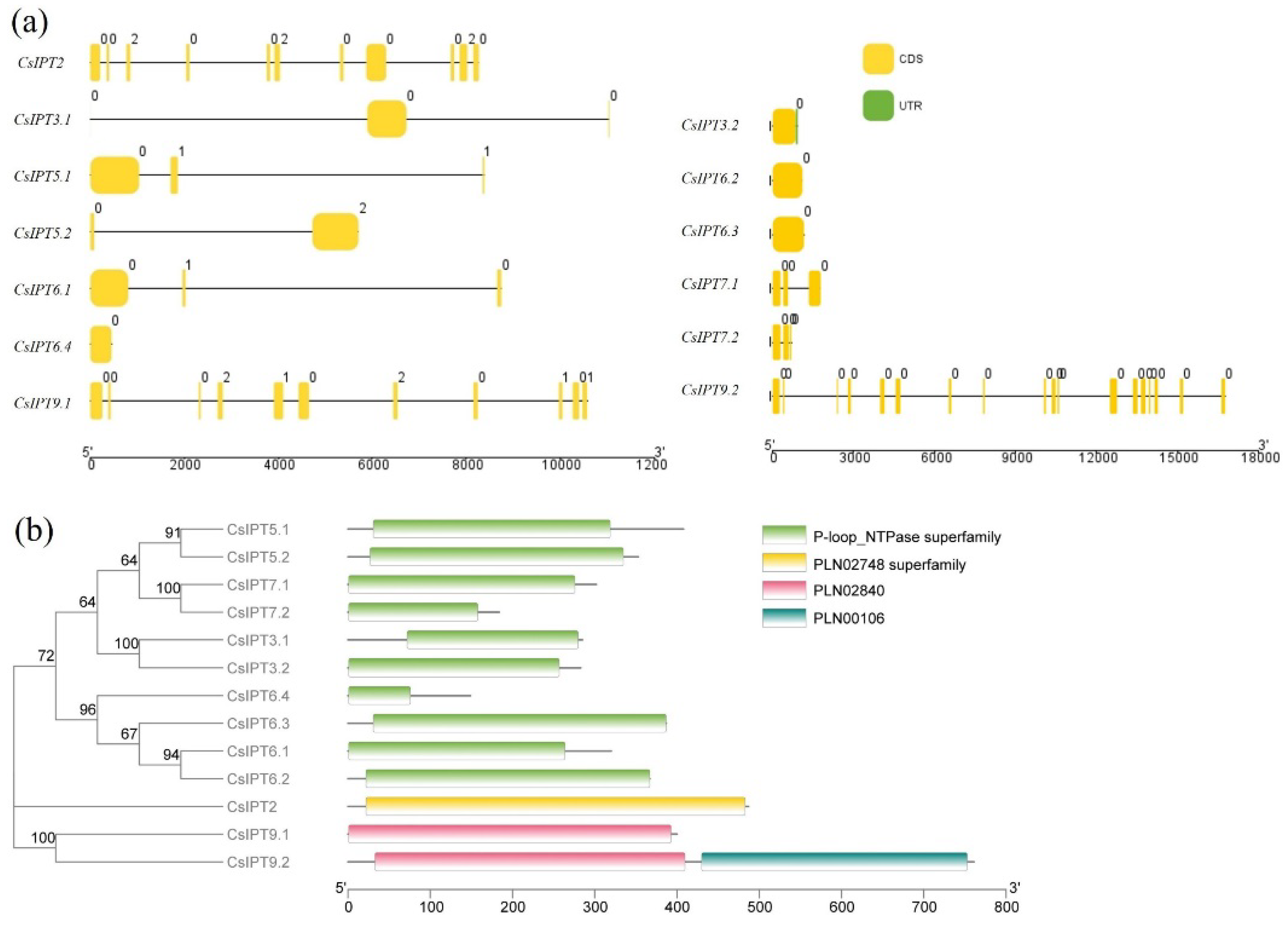 Plants 11 02243 g002