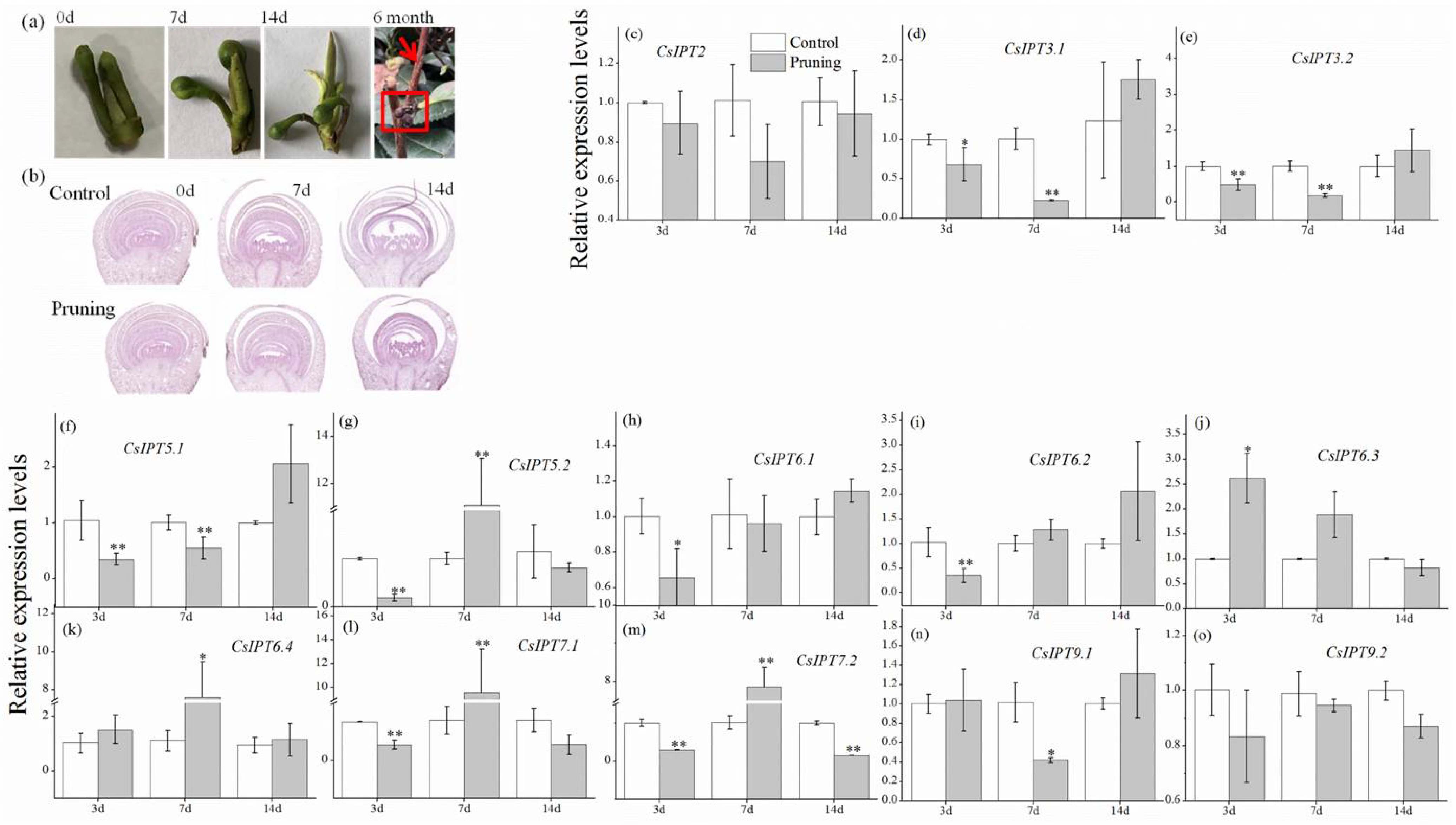 Plants 11 02243 g006