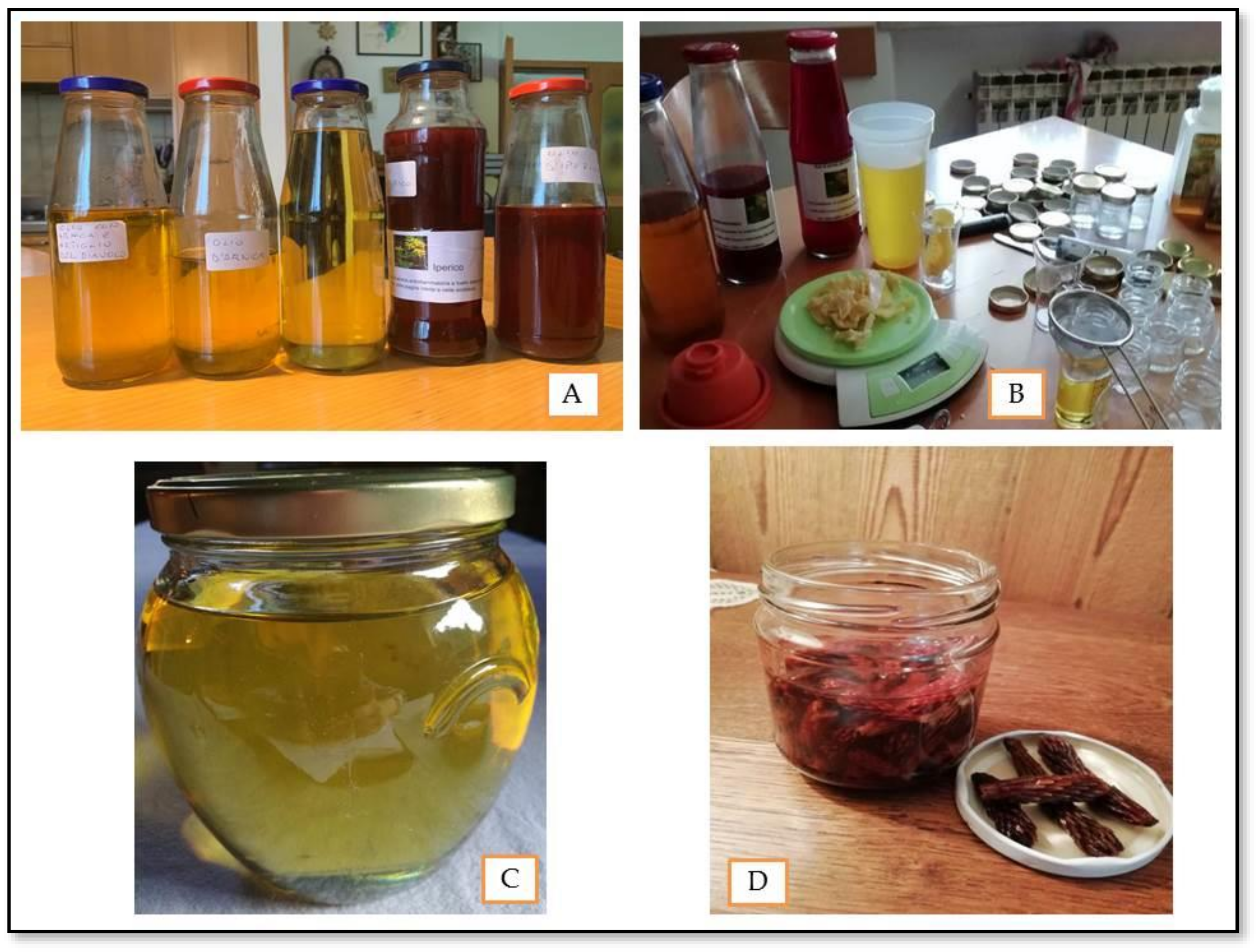 Plants 11 02246 g003