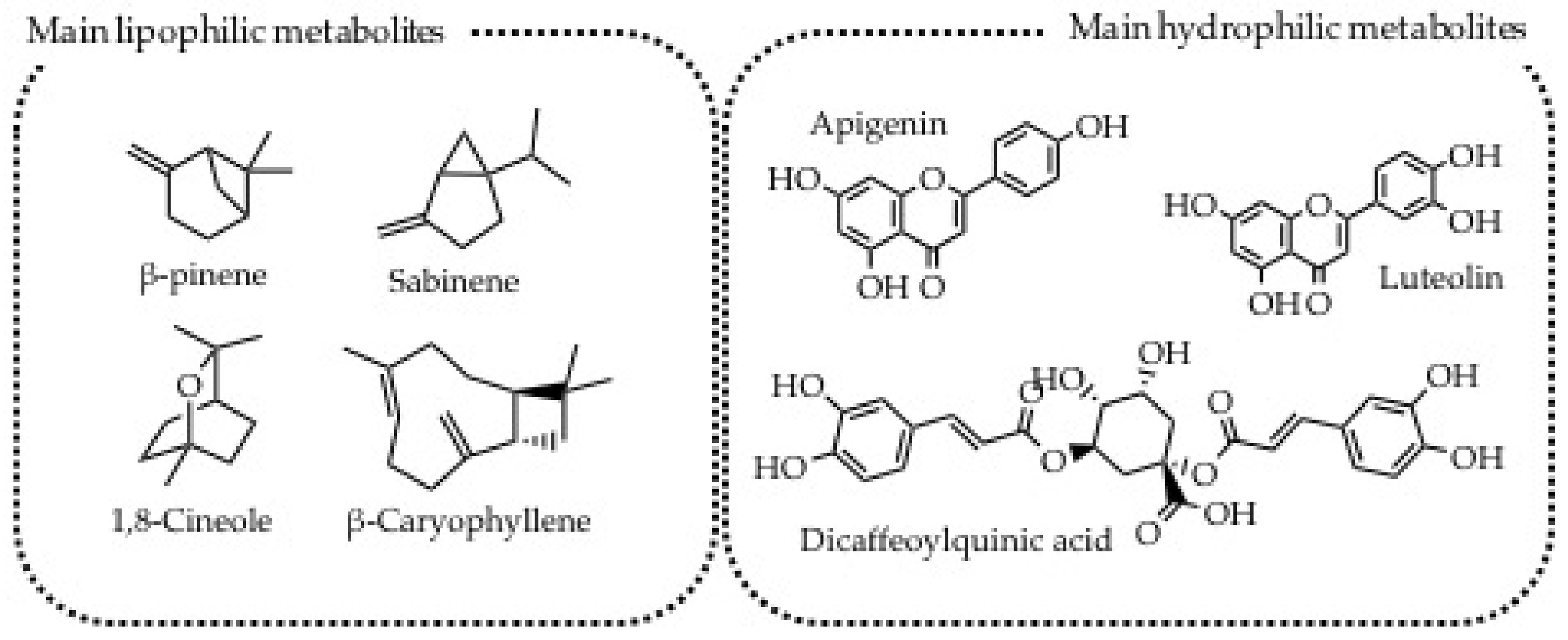 Plants 11 02246 g004