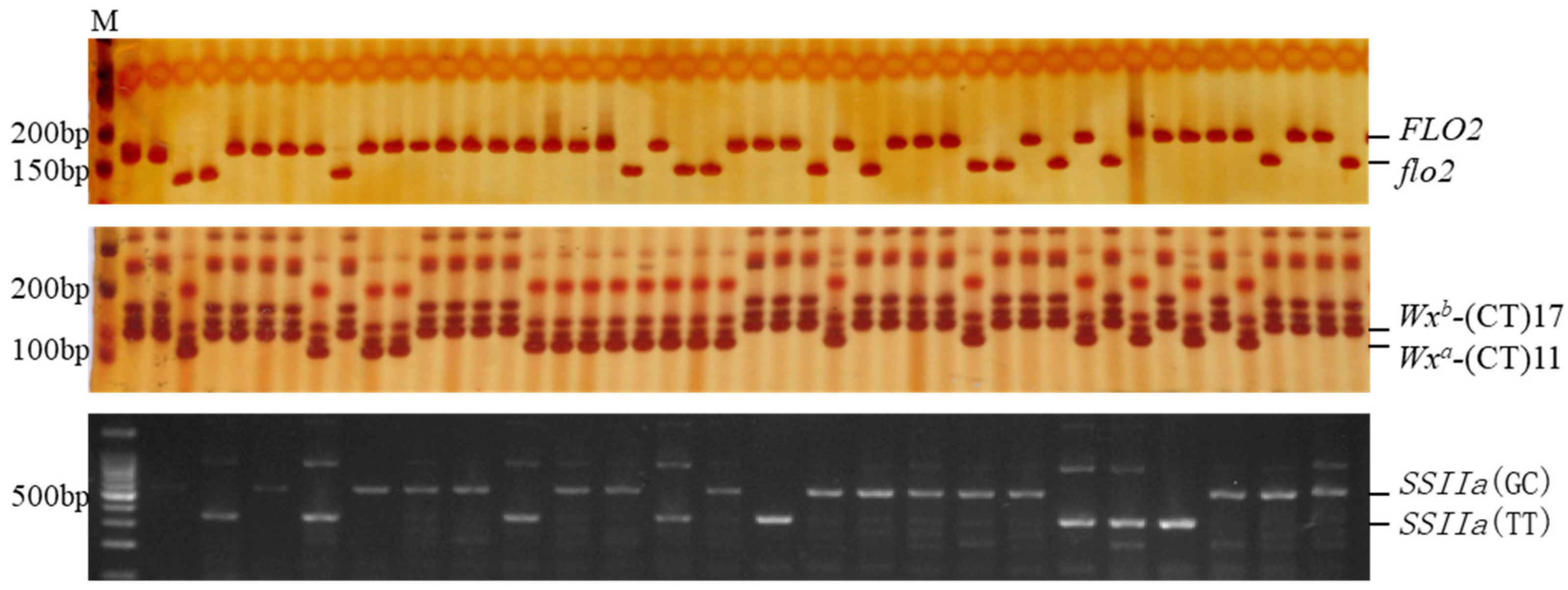 Plants 11 02249 g003