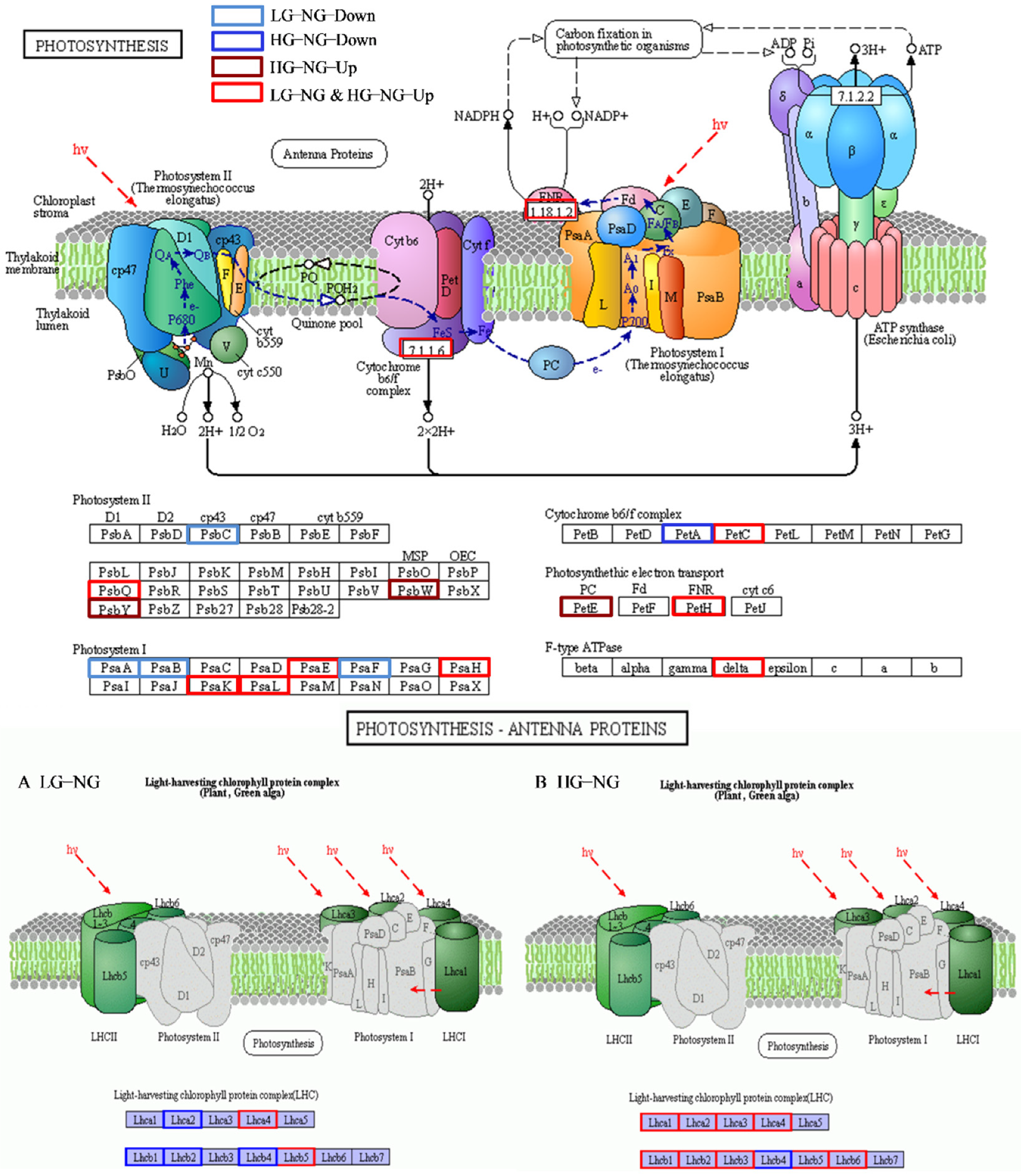Plants 11 02251 g009